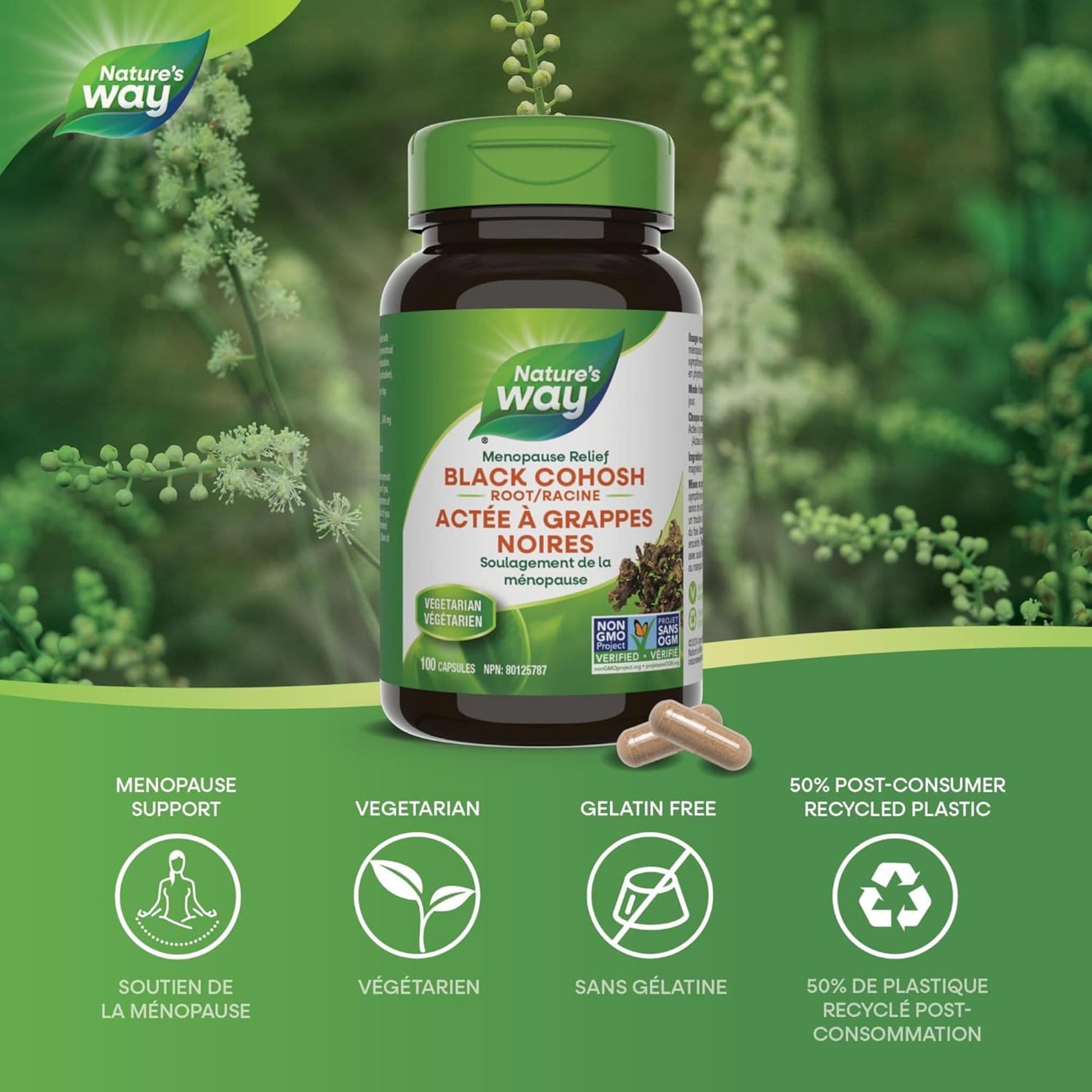 100 Vegetarian Capsules | Nature's Way Black Cohosh Root