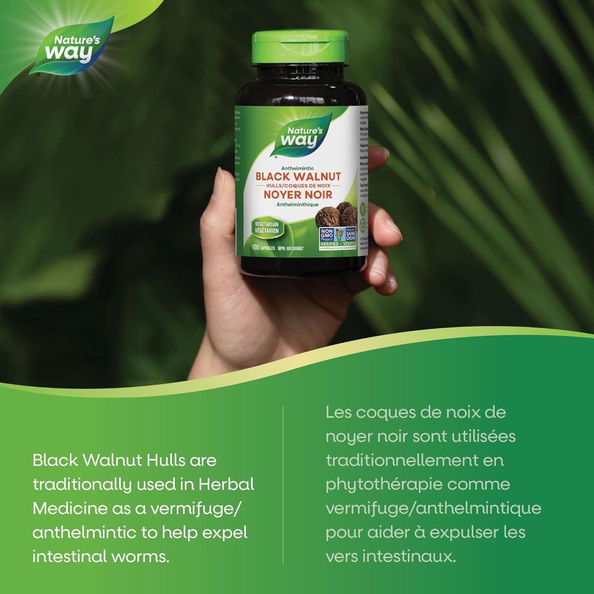 100 Vegetarian Capsules | Nature's Way Black Walnut Hulls