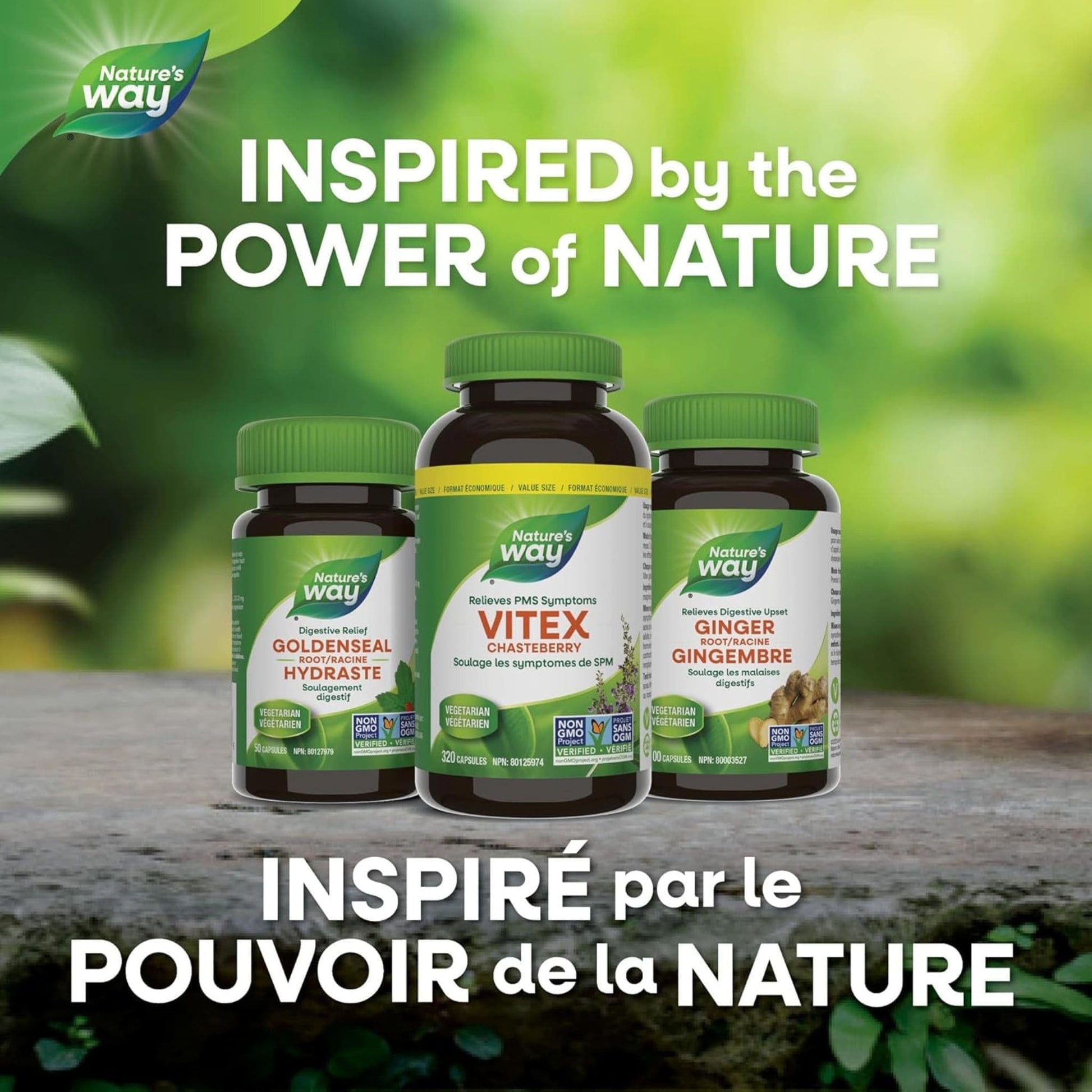 100 Capsules | Nature's Way Vitex Chasteberry
