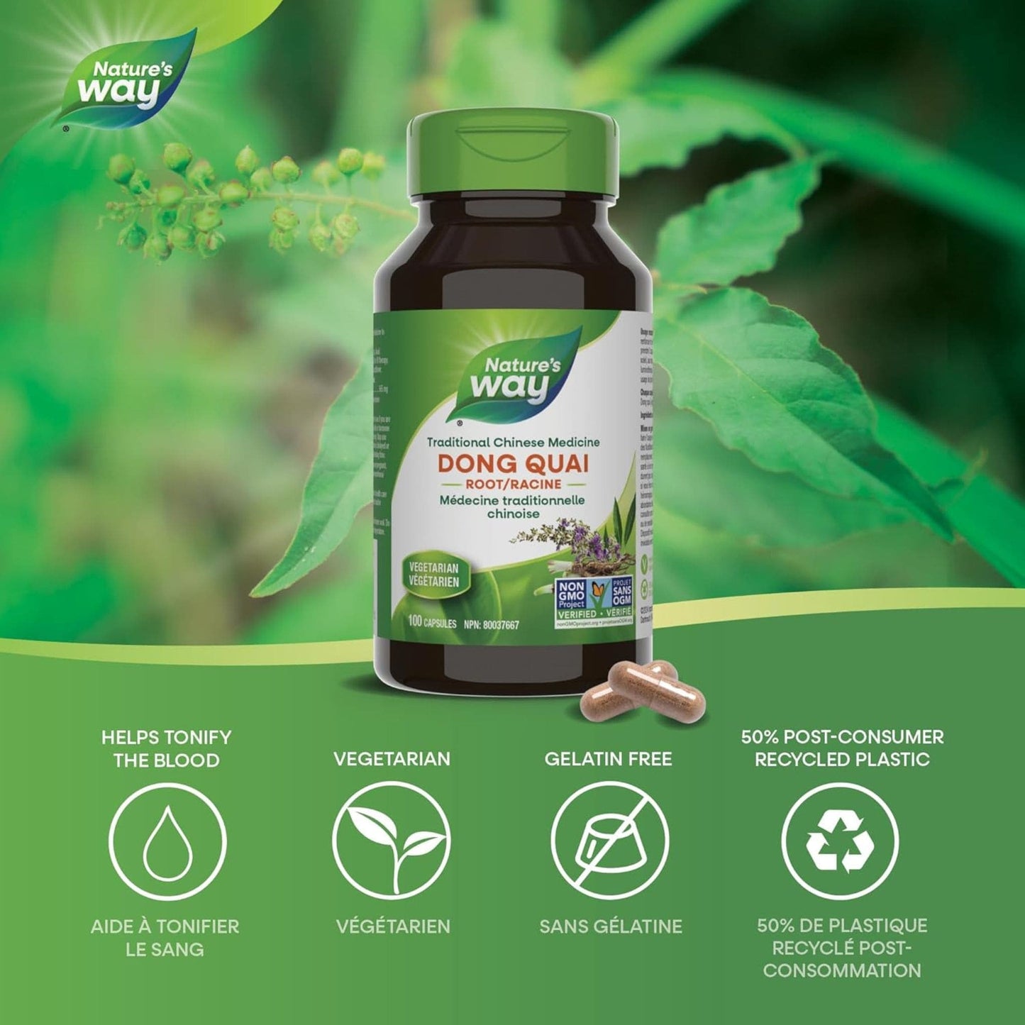 100 Vegetable Capsules | Nature's Way Dong Quai Root 