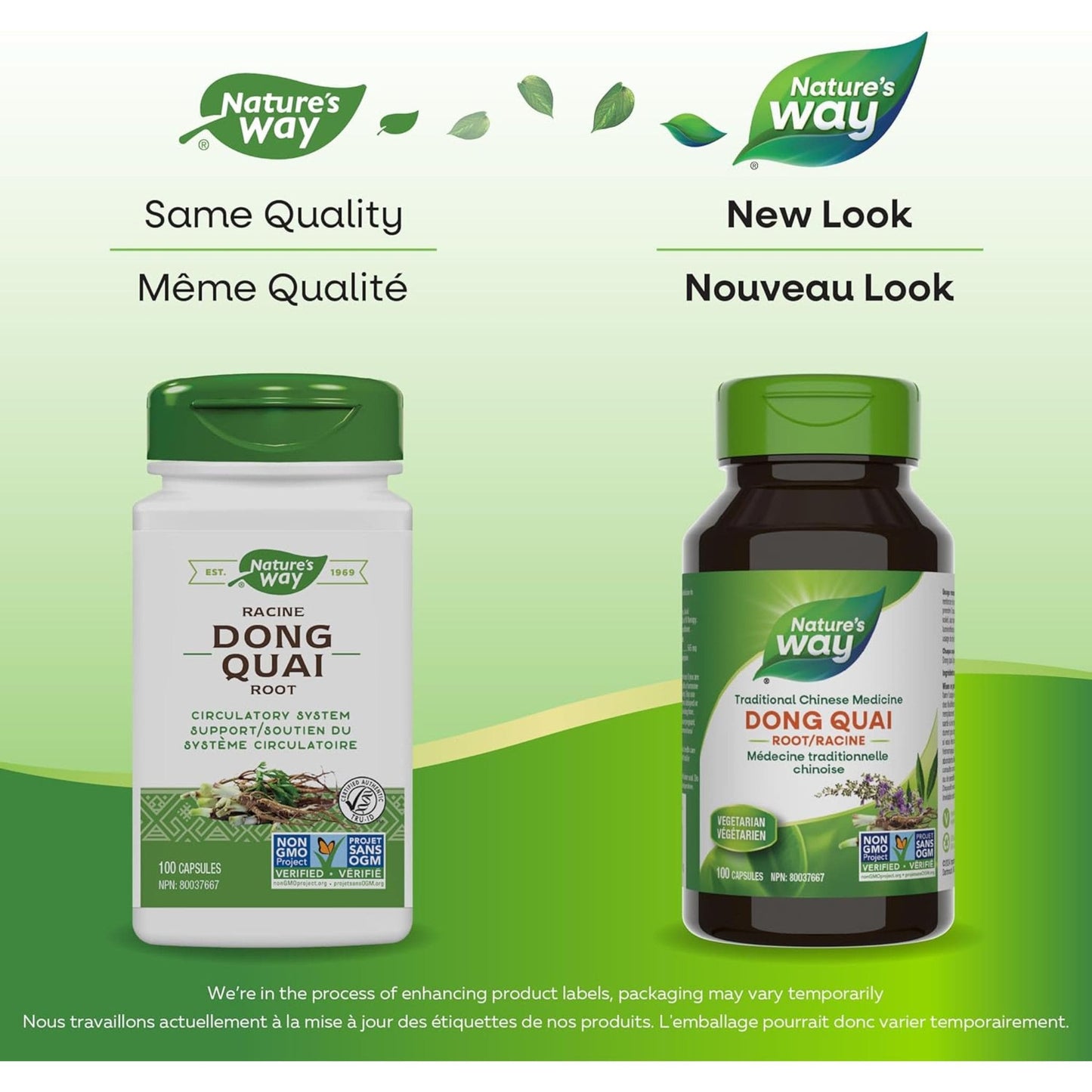 100 Vegetable Capsules | Nature's Way Dong Quai Root 