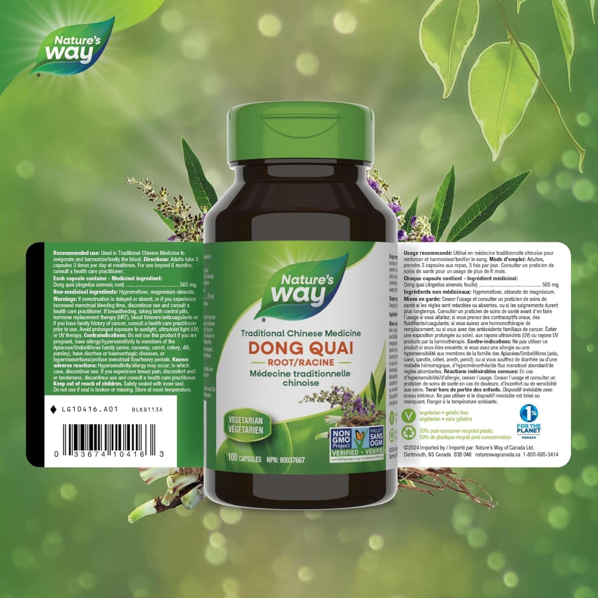 100 Vegetable Capsules | Nature's Way Dong Quai Root 
