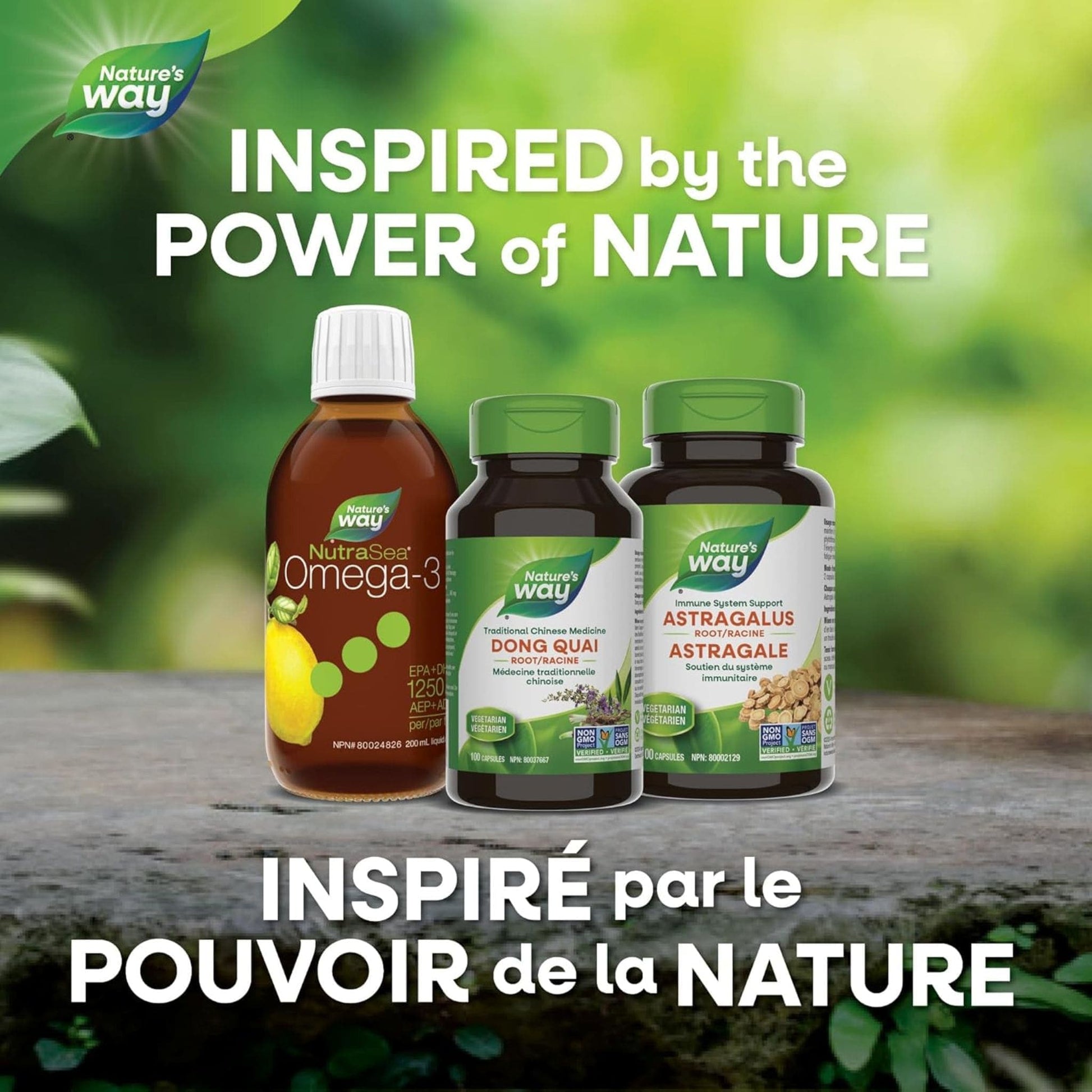 100 Vegetable Capsules | Nature's Way Dong Quai Root 