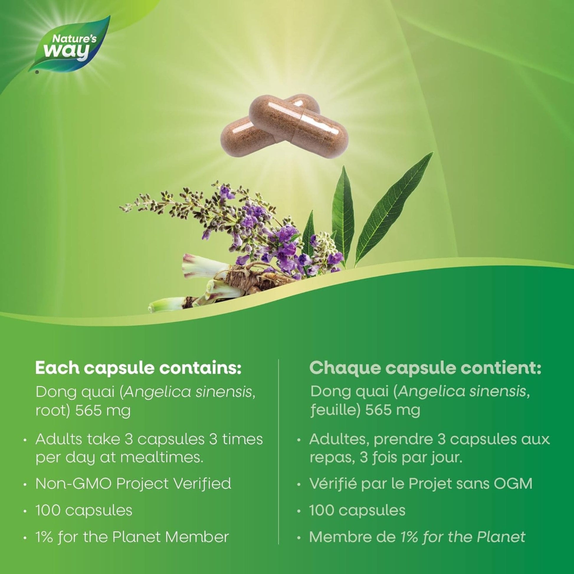 100 Vegetable Capsules | Nature's Way Dong Quai Root 