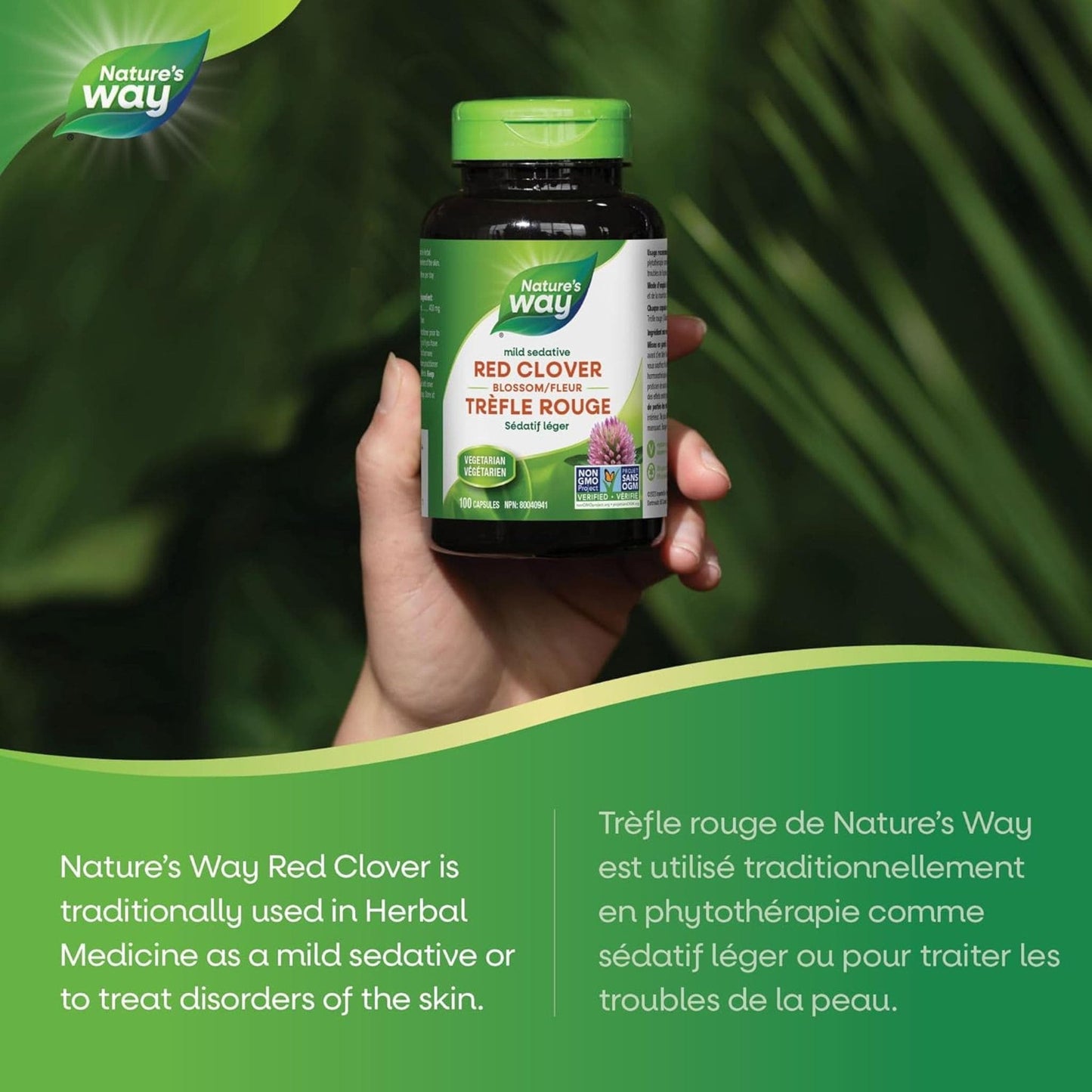 100 Vegetarian Capsules | Nature's Way Red Clover Blossom