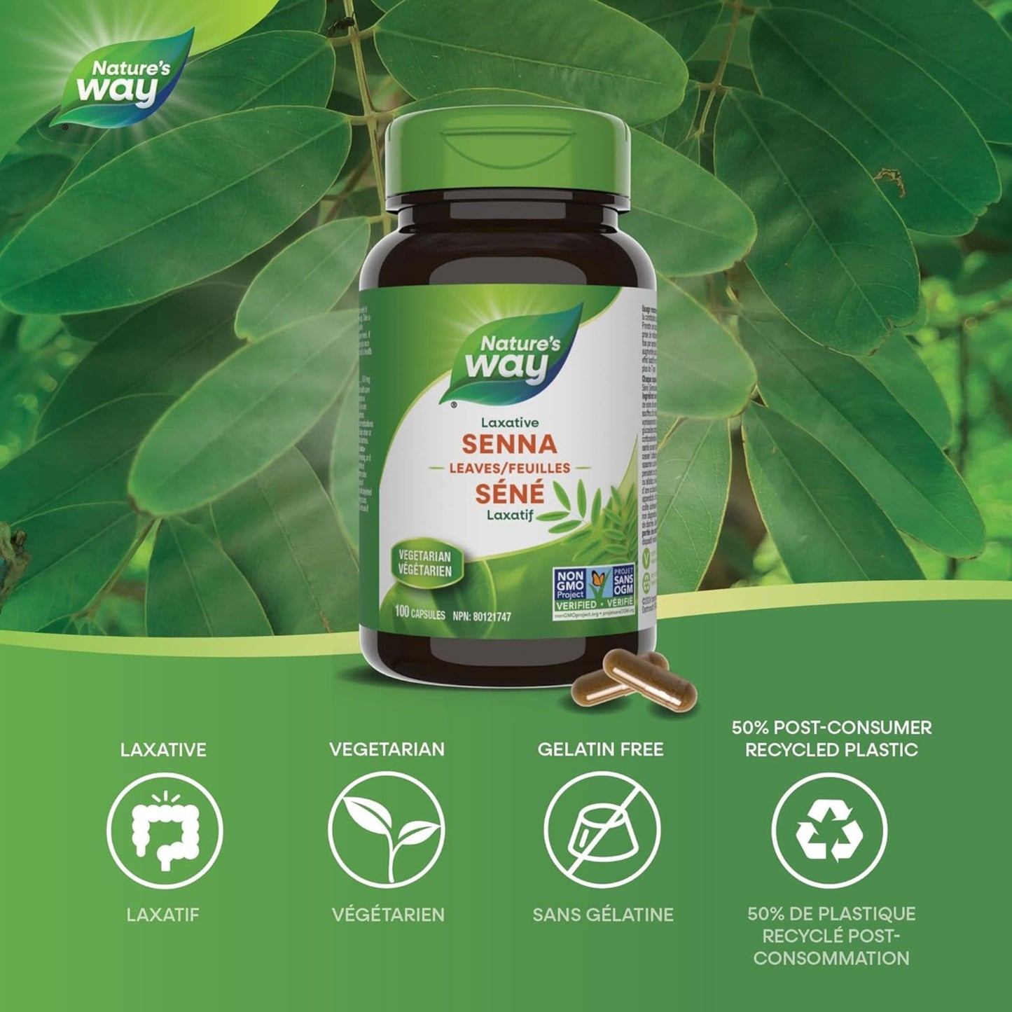 100 Vegetable Capsules | Nature's Way Senna Leaves