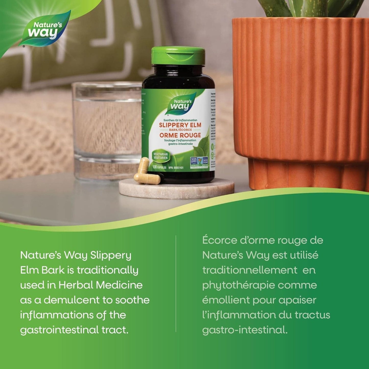 100 Vegetable Capsules | Nature's Way Slippery Elm