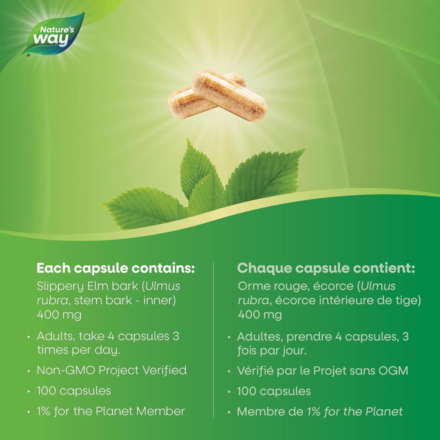 100 Vegetable Capsules | Nature's Way Slippery Elm