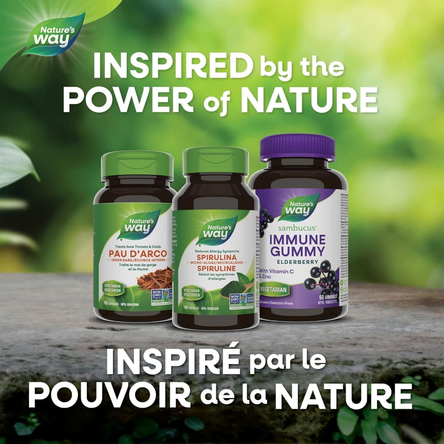 100 Vegetable Capsules | Nature's Way Spirulina Micro-Algae