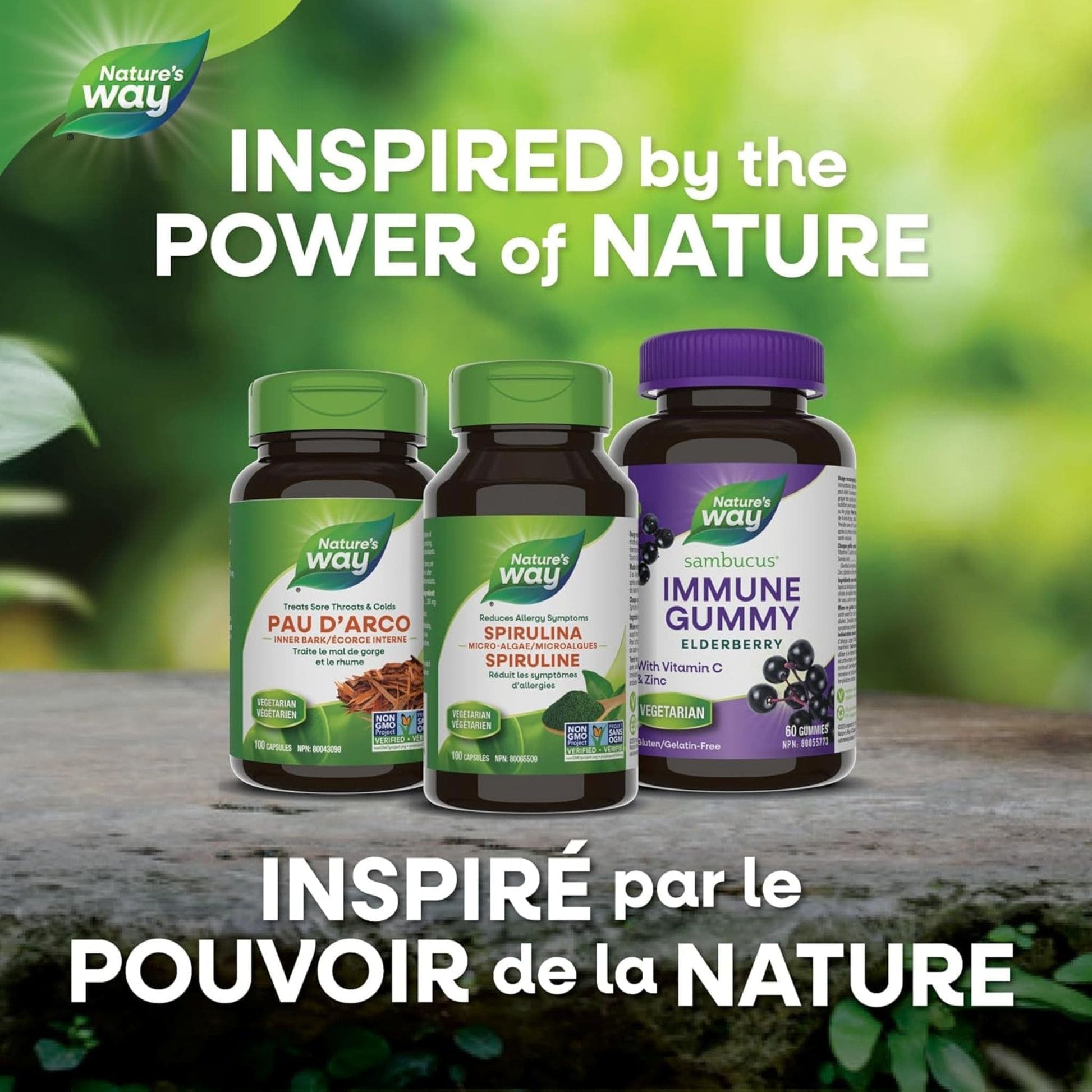 100 Vegetable Capsules | Nature's Way Spirulina Micro-Algae