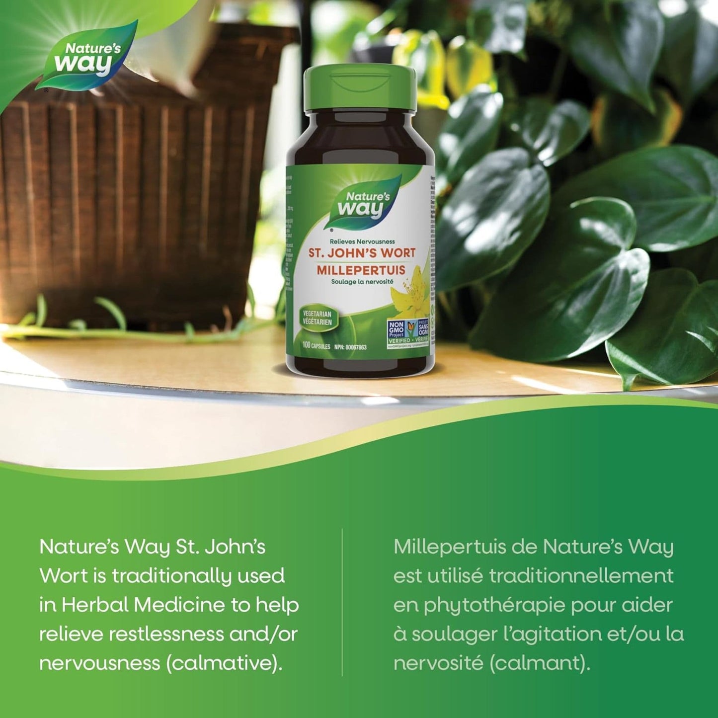 100 Vegetarian Capsules | Nature's Way St. John's Wort
