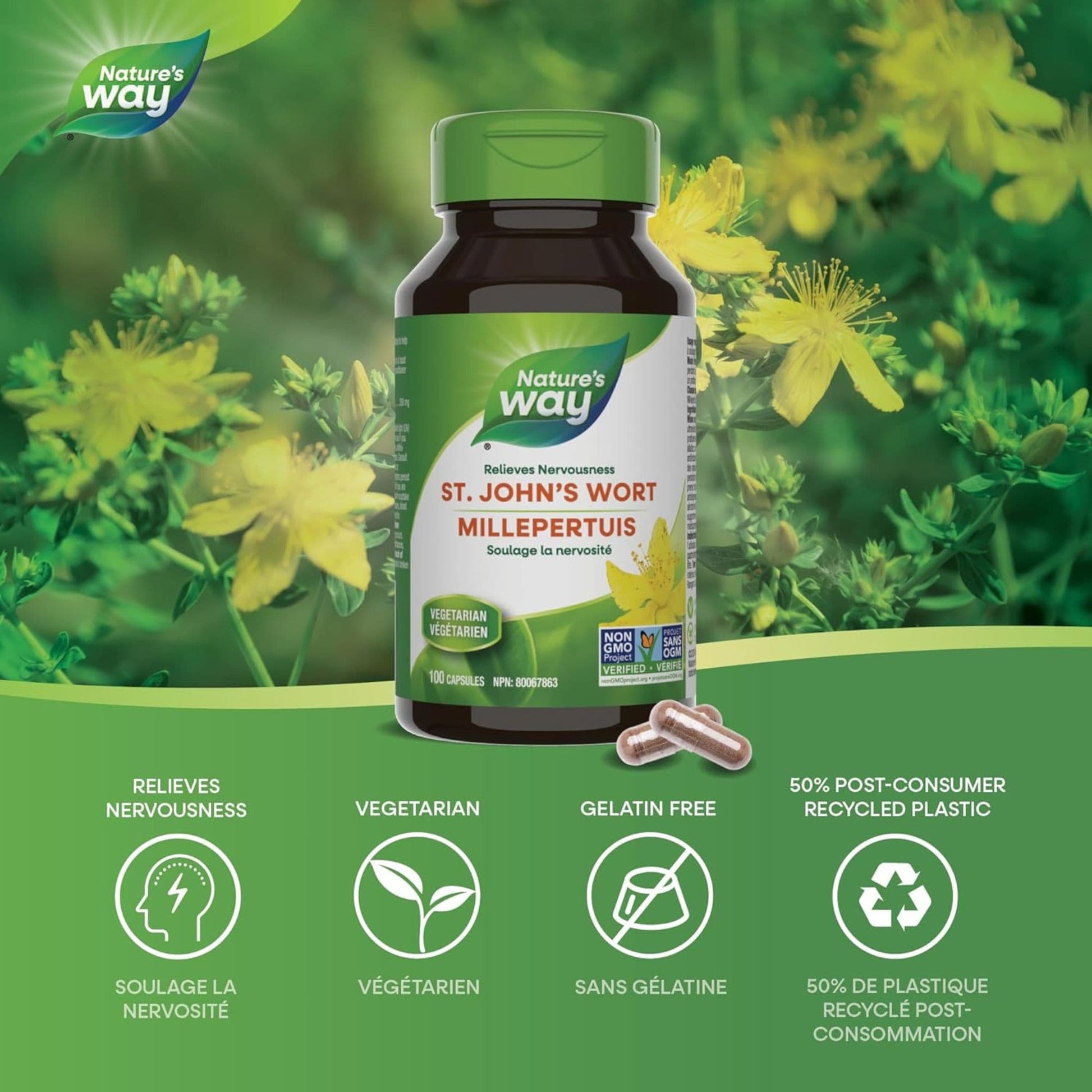 100 Vegetarian Capsules | Nature's Way St. John's Wort