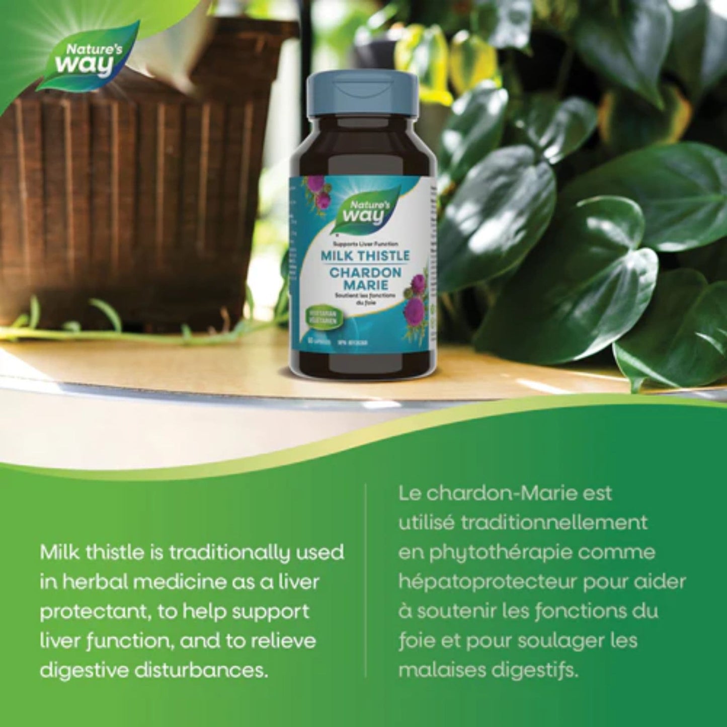 60 Vegetable Capsules | Nature's Way Milk Thistle Standardized Extract