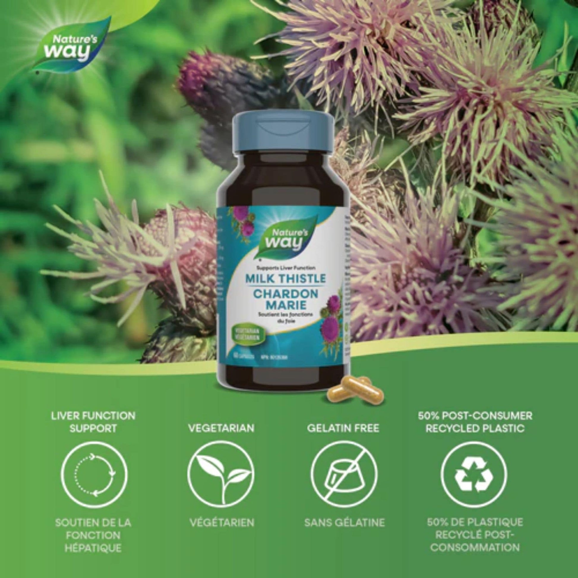 60 Vegetable Capsules | Nature's Way Milk Thistle Standardized Extract