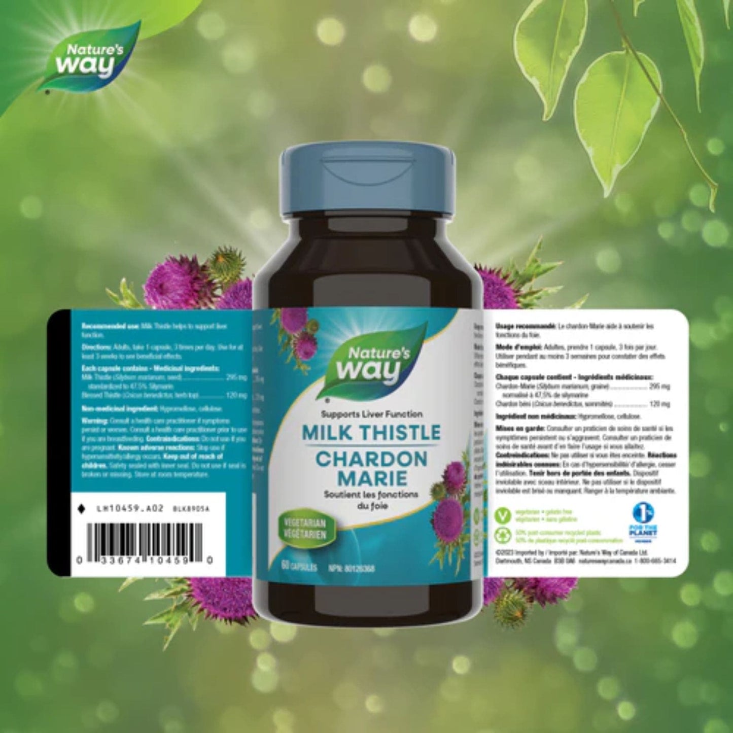 60 Vegetable Capsules | Nature's Way Milk Thistle Standardized Extract