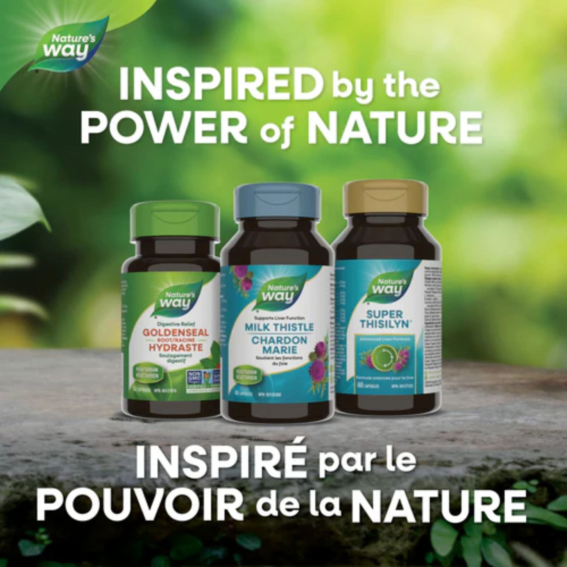 60 Vegetable Capsules | Nature's Way Milk Thistle Standardized Extract