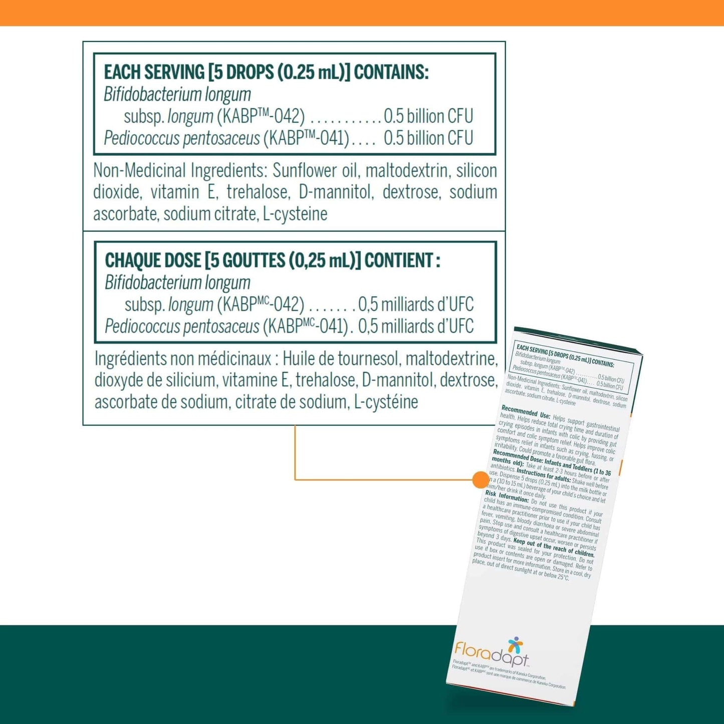 8mL | Genestra Brands HMF Baby Drops Probiotic