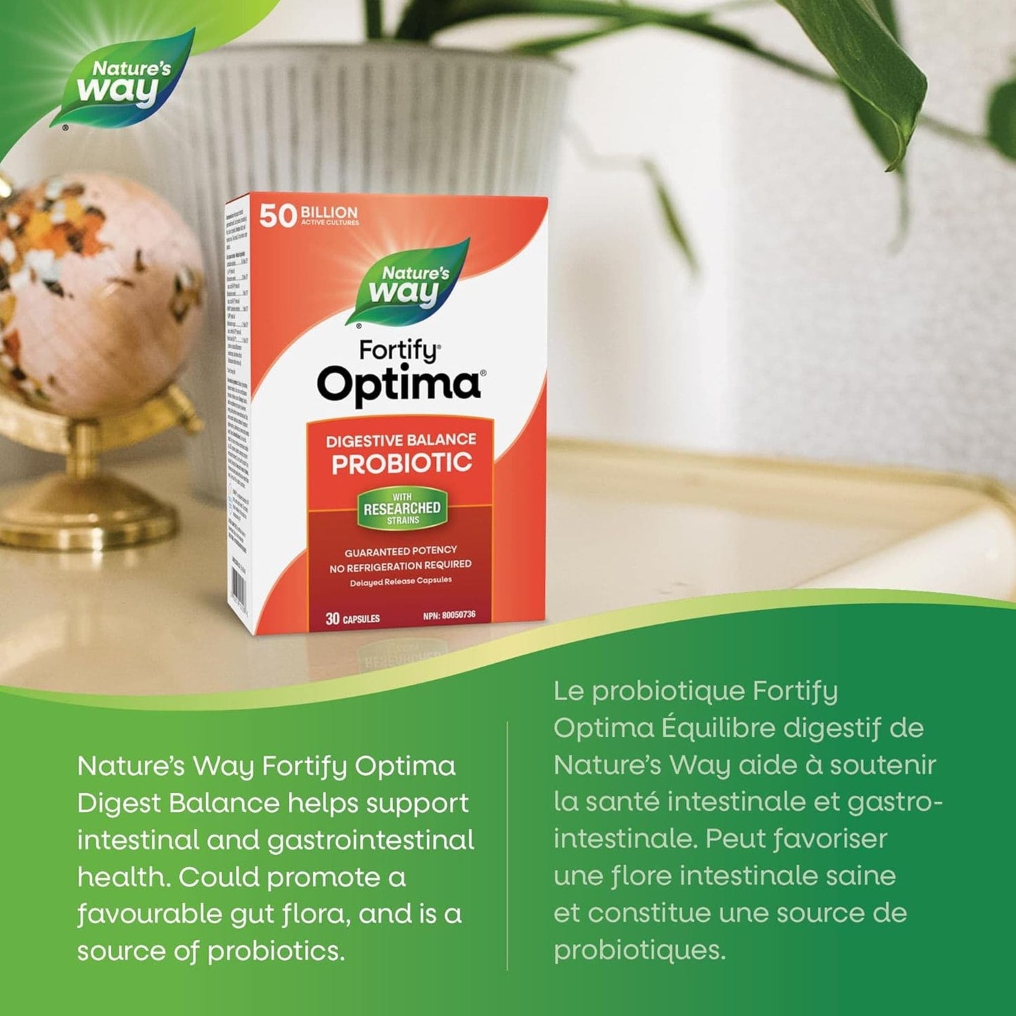 30 Capsules | Nature's Way Fortify Optima Digestive Balance Probiotic, 50 Billion Active Cultures