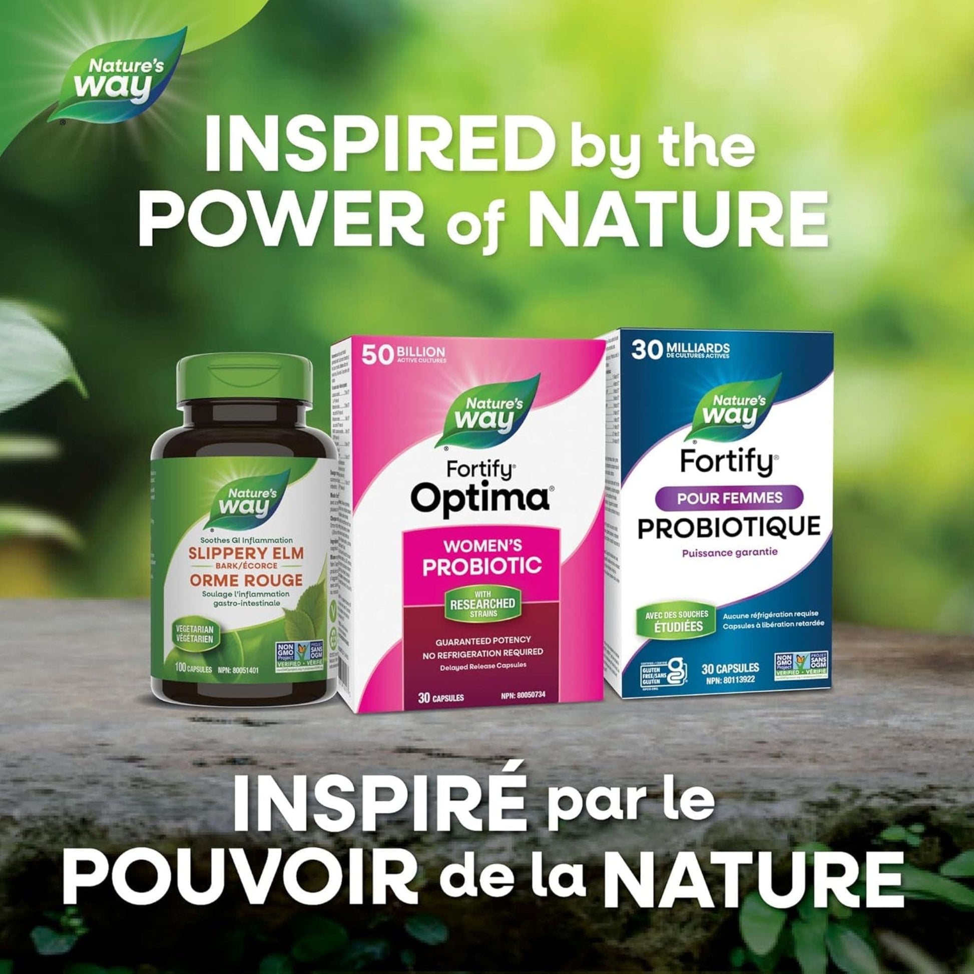 30 Capsules | Nature's Way Fortify Optima Women's Probiotic 50 Billion