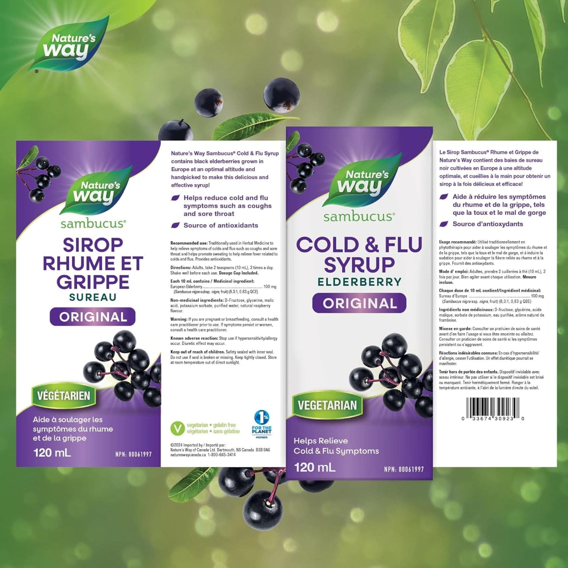 Elderberry, 120mL | Nature's Way Sambucus Cold and Flu Syrup Original