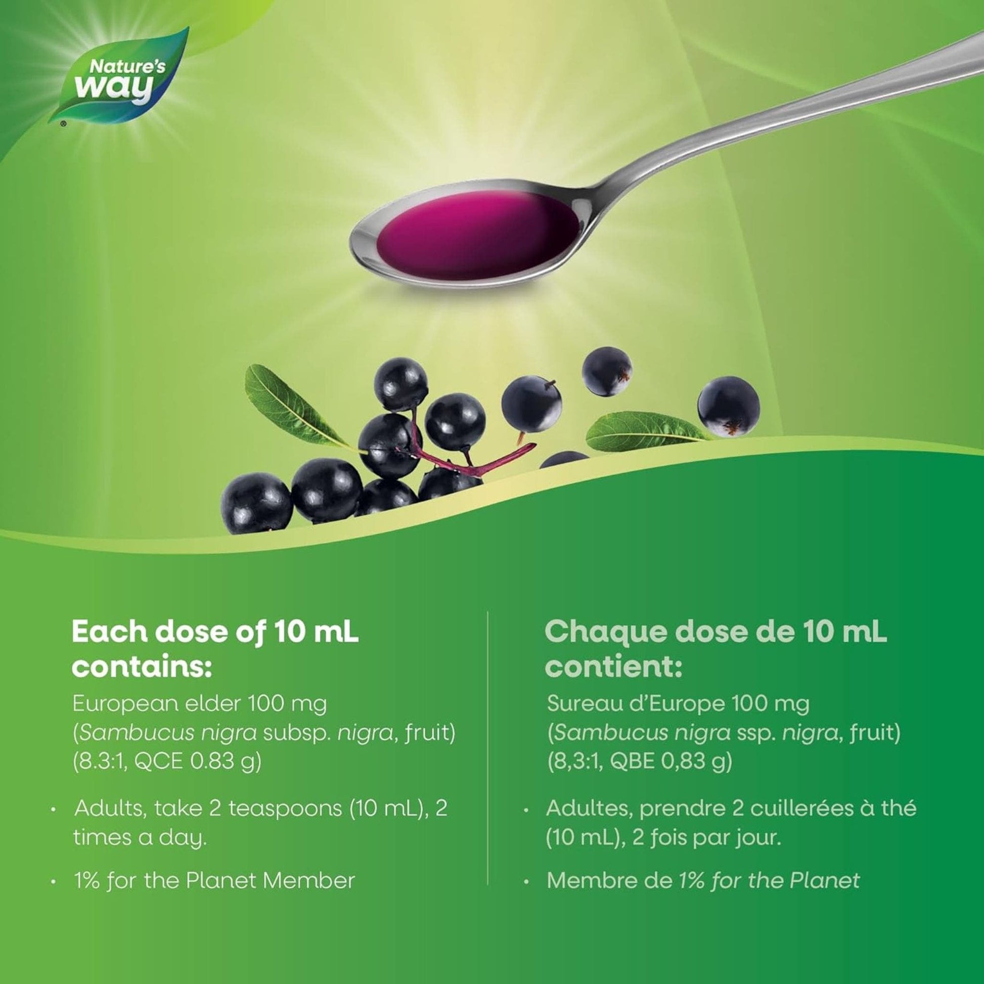 Elderberry, 120mL | Nature's Way Sambucus Cold and Flu Syrup Original