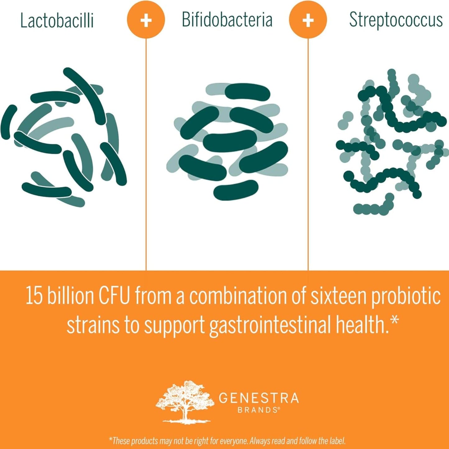 50 Vegetarian Capsules | Genestra Brands HMF Multi Strain Probiotic