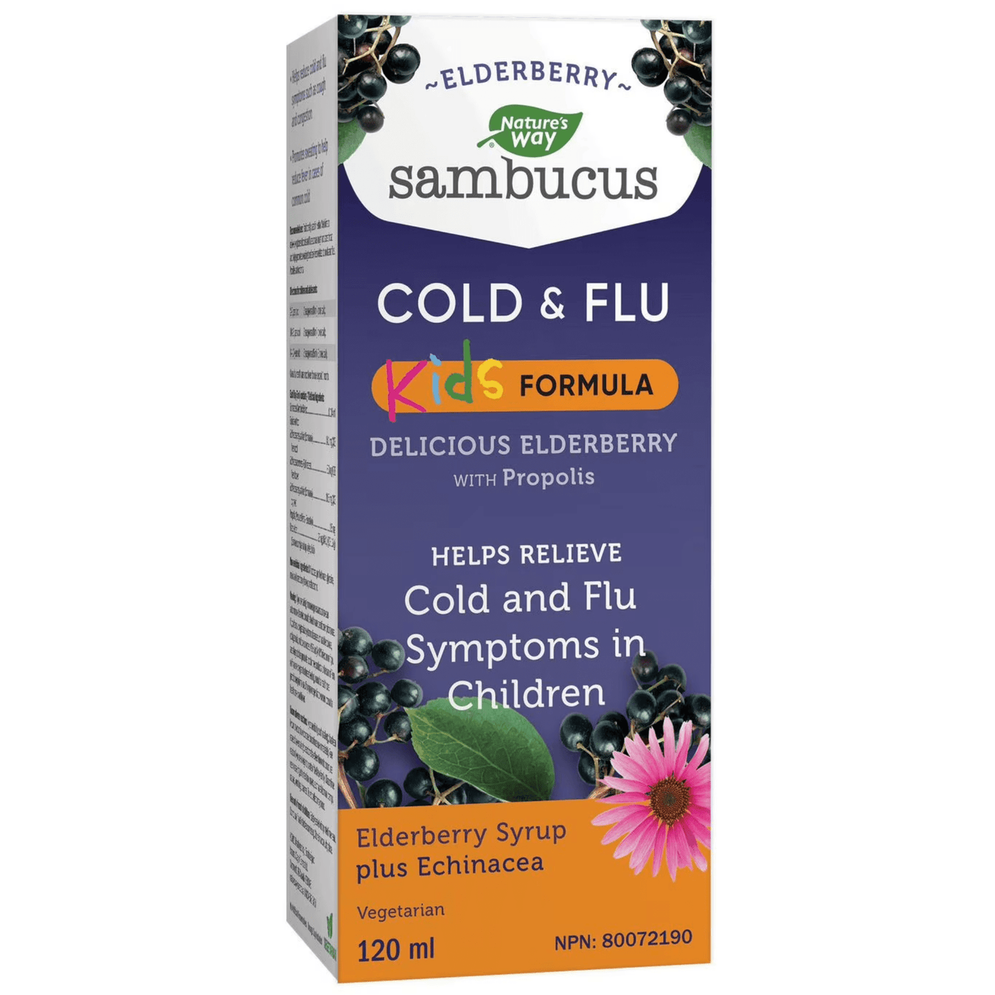 Nature's Way Kids Sambucus Elderberry Cold and Flu Care Syrup, 120ml CLEARANCE 75% OFF, EXPIRES Sept 30, 2025