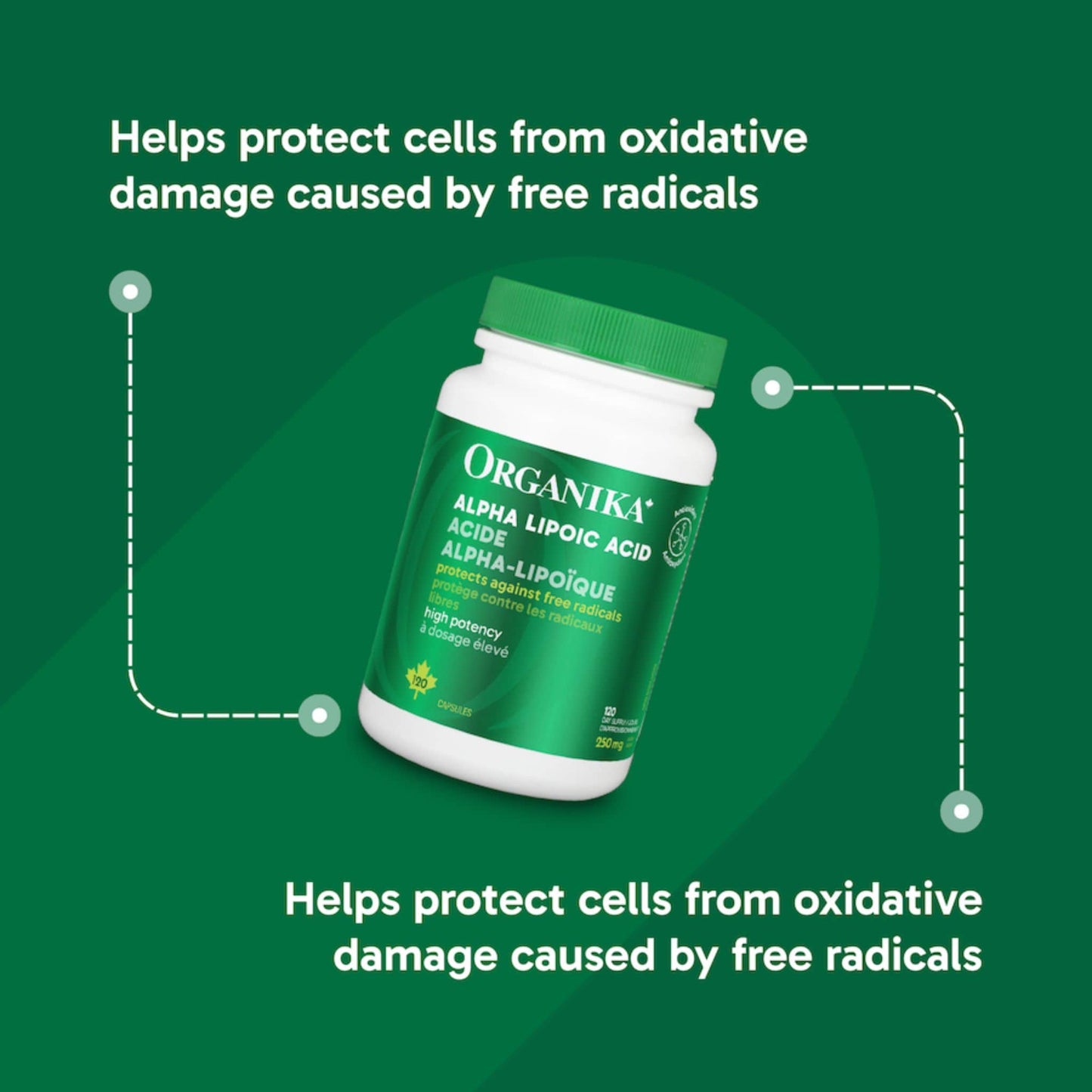 120 Capsules | Organika Alpha Lipoic Acid 250 mg