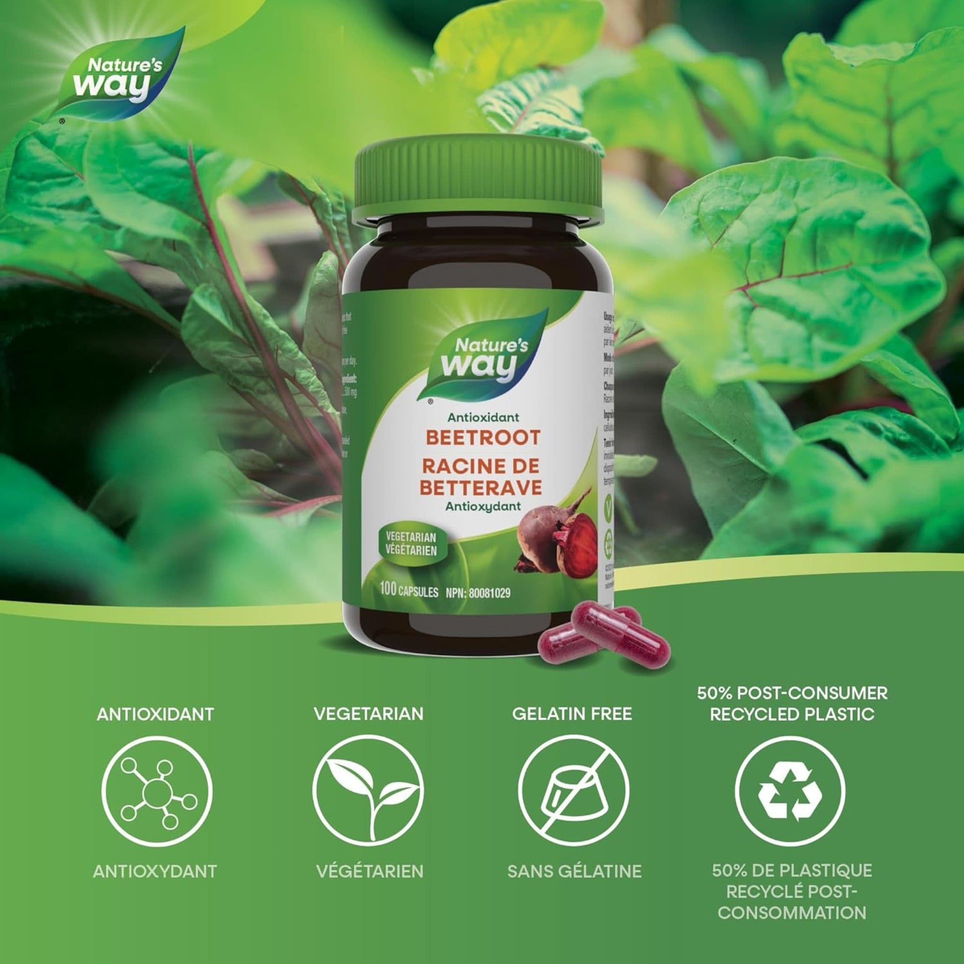 100 Vegetable Capsules | Nature's Way Beet Root