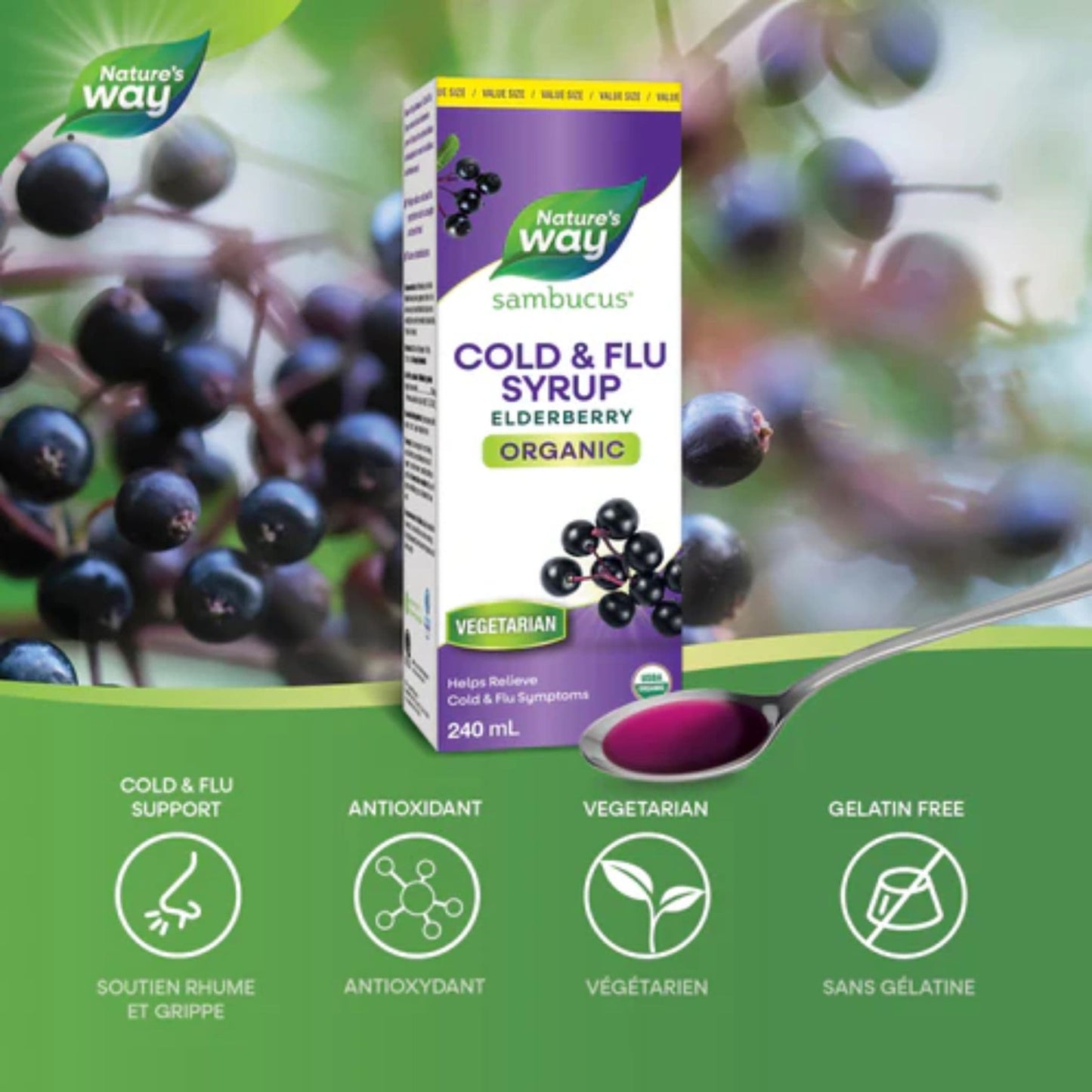 Elderberry, 240mL | Nature's Way Sambucus Cold and Flu Syrup Original