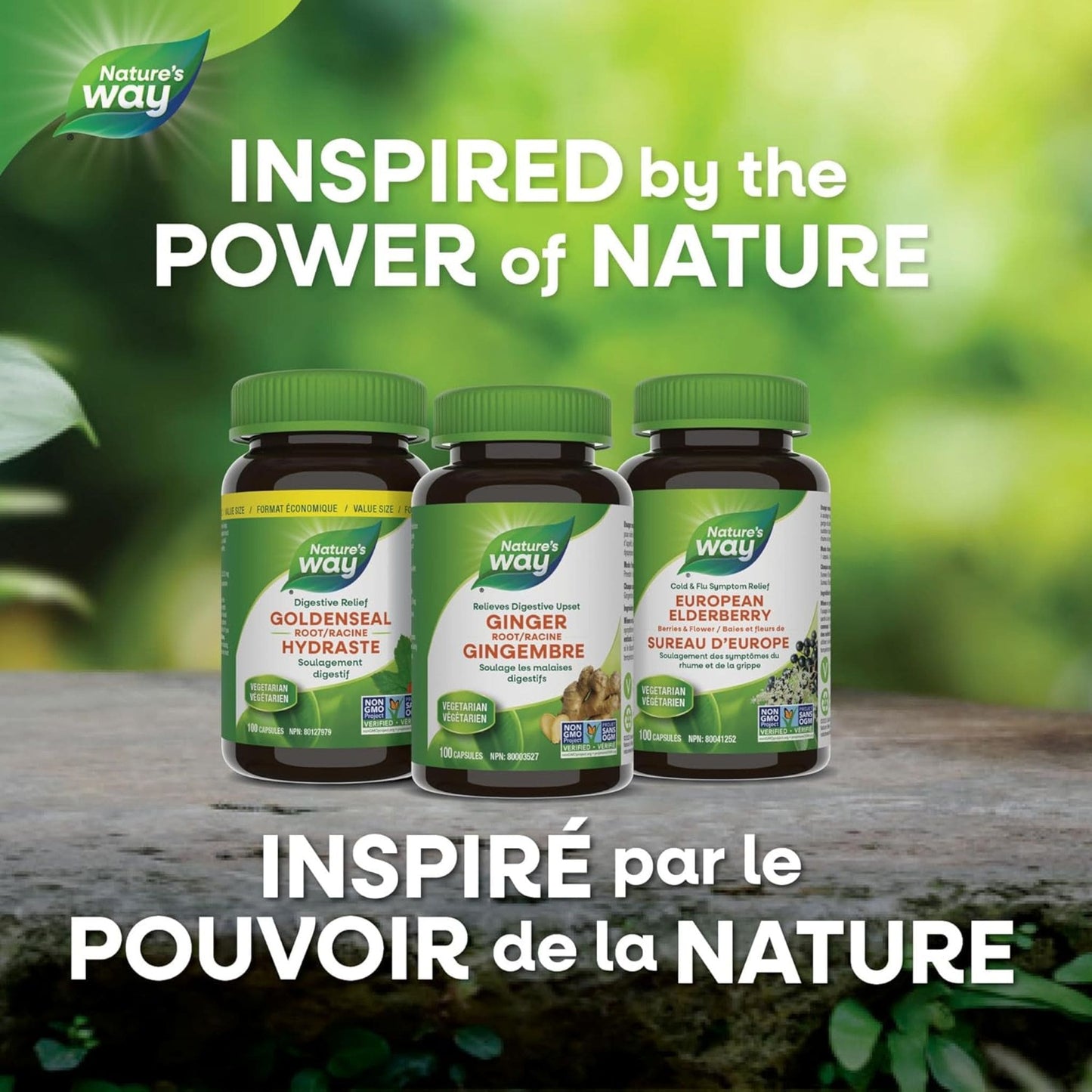 320 Capsules | Nature's Way Vitex Chasteberry