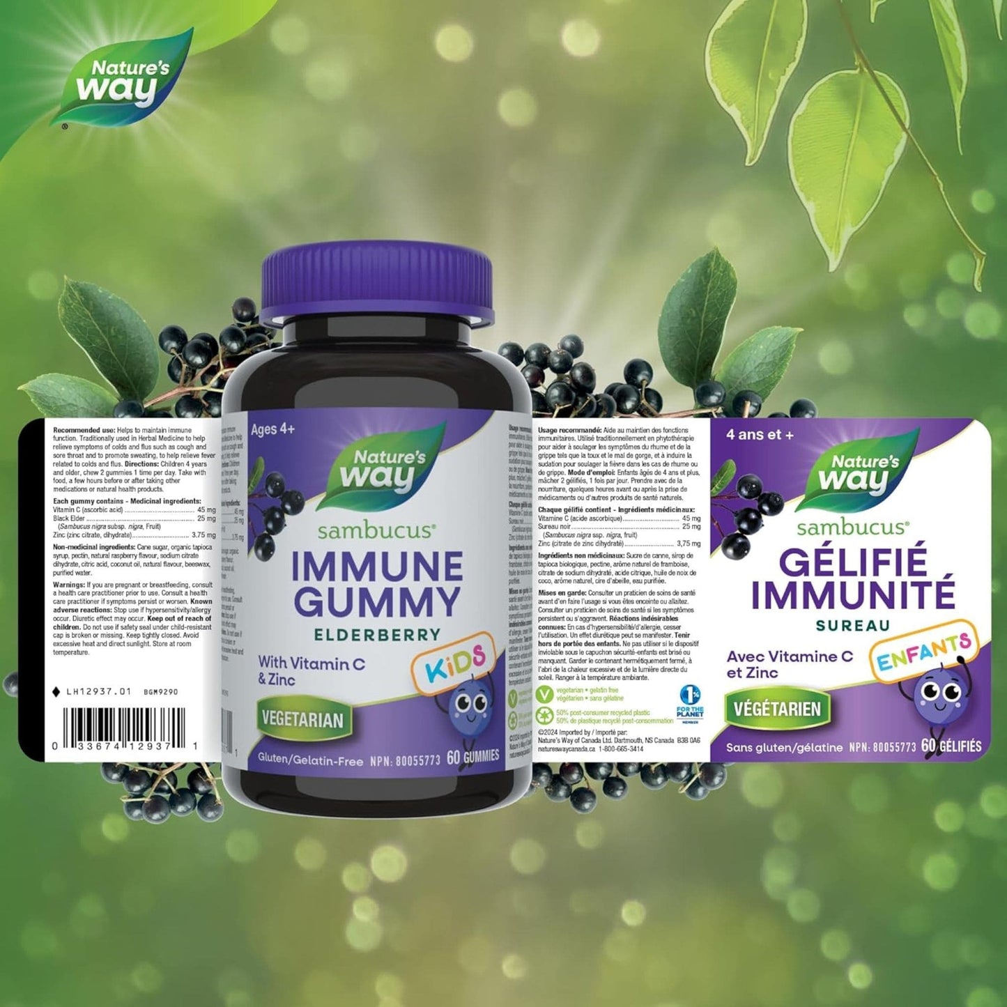 Elderberry, 60 Gummies | Nature's Way Sambucus Immune Support Gummy for Kids
