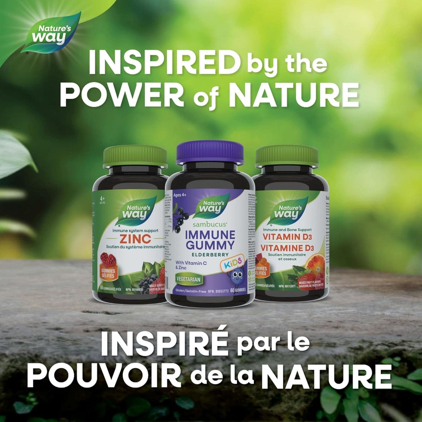 Elderberry, 60 Gummies | Nature's Way Sambucus Immune Support Gummy for Kids