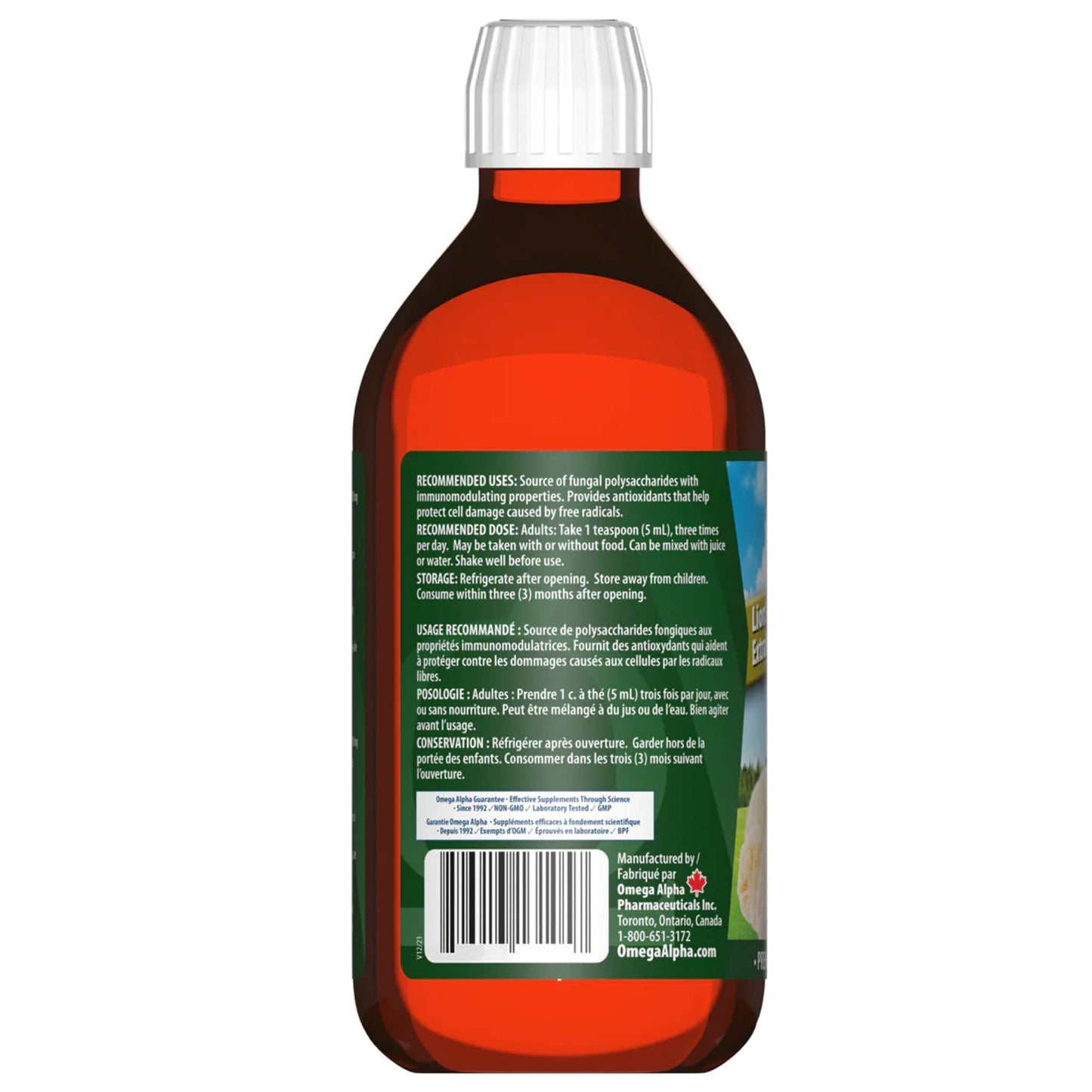 250ml | Omega Alpha Lion's Mane Mushroom Extract Immunomodulating Bottle