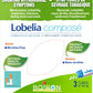 Boiron Lobelia Compose Blister Pack