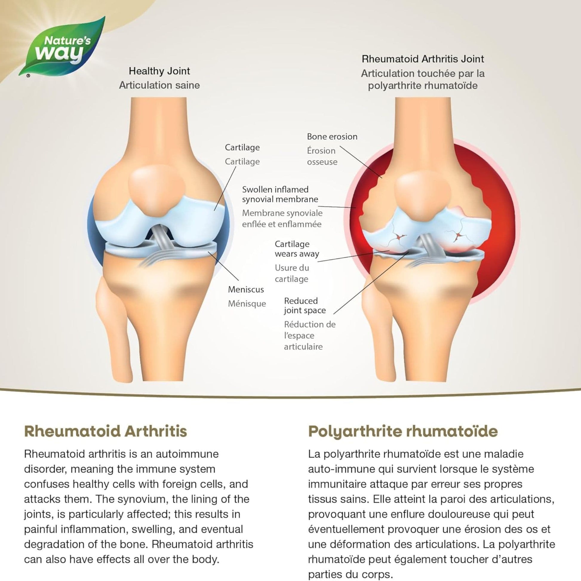 Fresh Mint Flavour, 75 Softgels | Nature's Way NutraSea Arthritis Targeted Omega-3