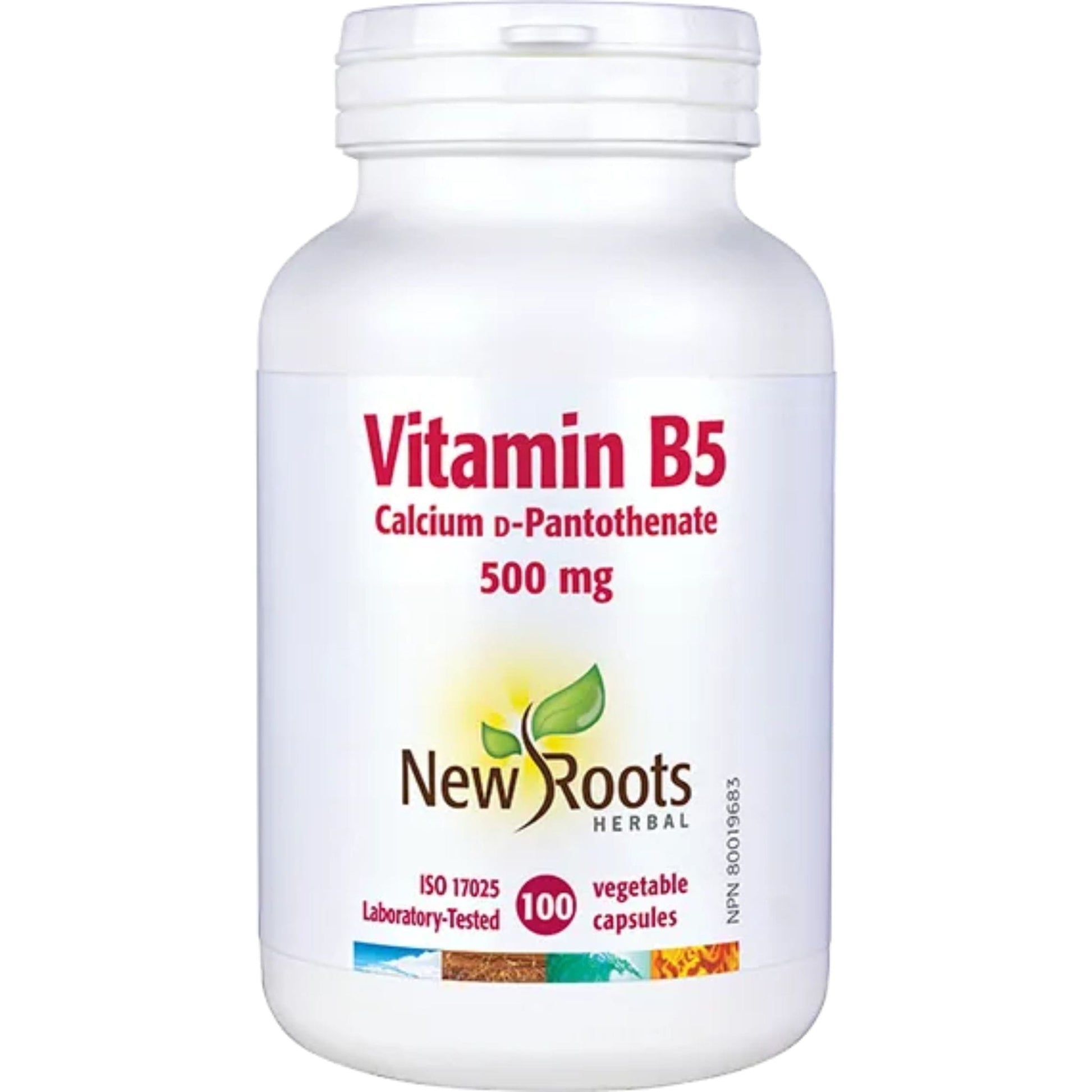 100 Vegetable Capsules | New Roots Vitamin B5 500mg, Calcium D-Pantothenate
