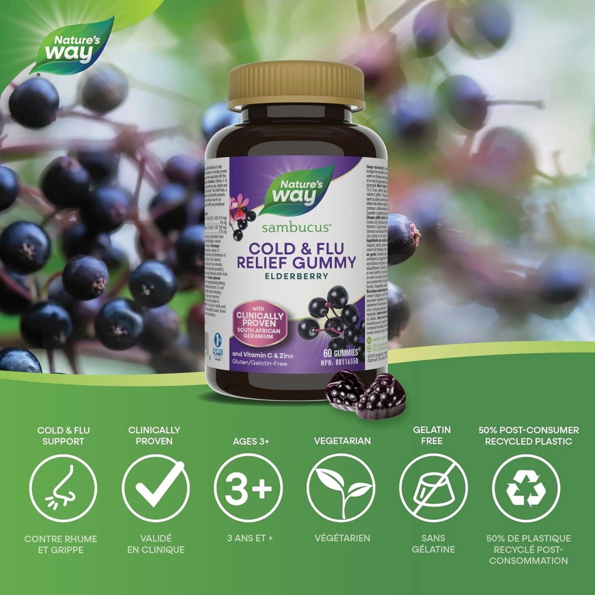 Elderberry, 60 Gummies | Nature's Way Cold and Flu Relief for Adults