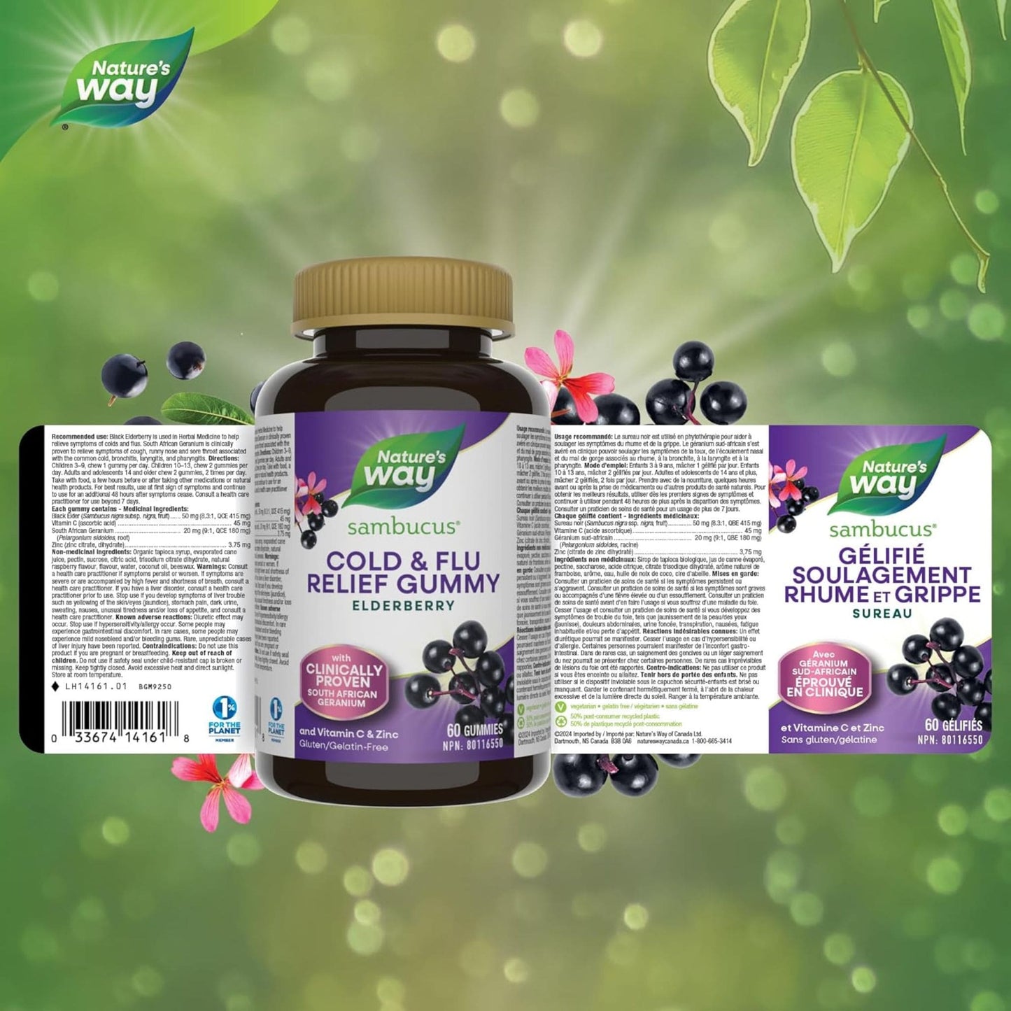 Elderberry, 60 Gummies | Nature's Way Cold and Flu Relief for Adults