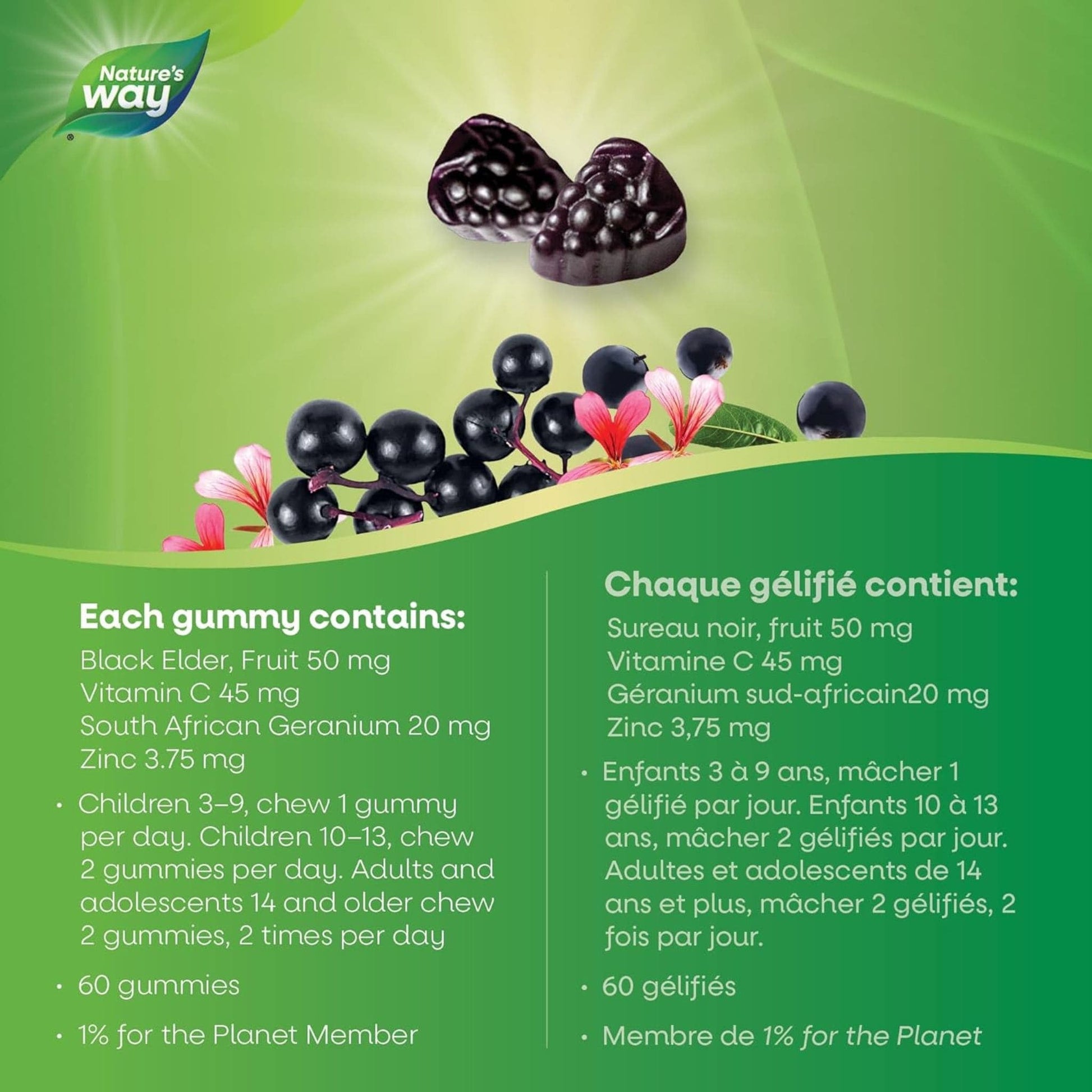 Elderberry, 60 Gummies | Nature's Way Cold and Flu Relief for Adults