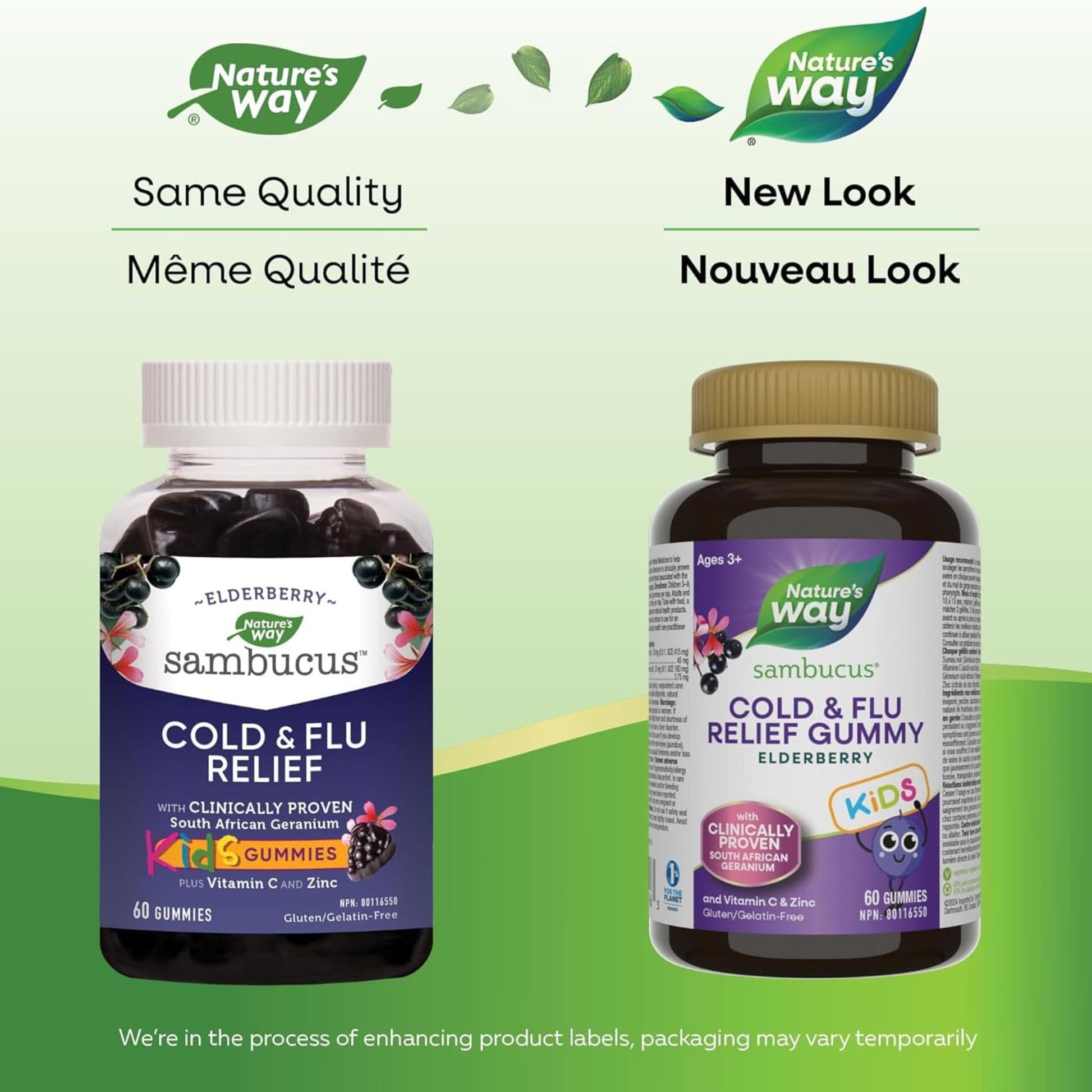 Elderberry, 60 Gummies | Nature's Way Sambucus Cold and Flu Relief Gummy for Kids