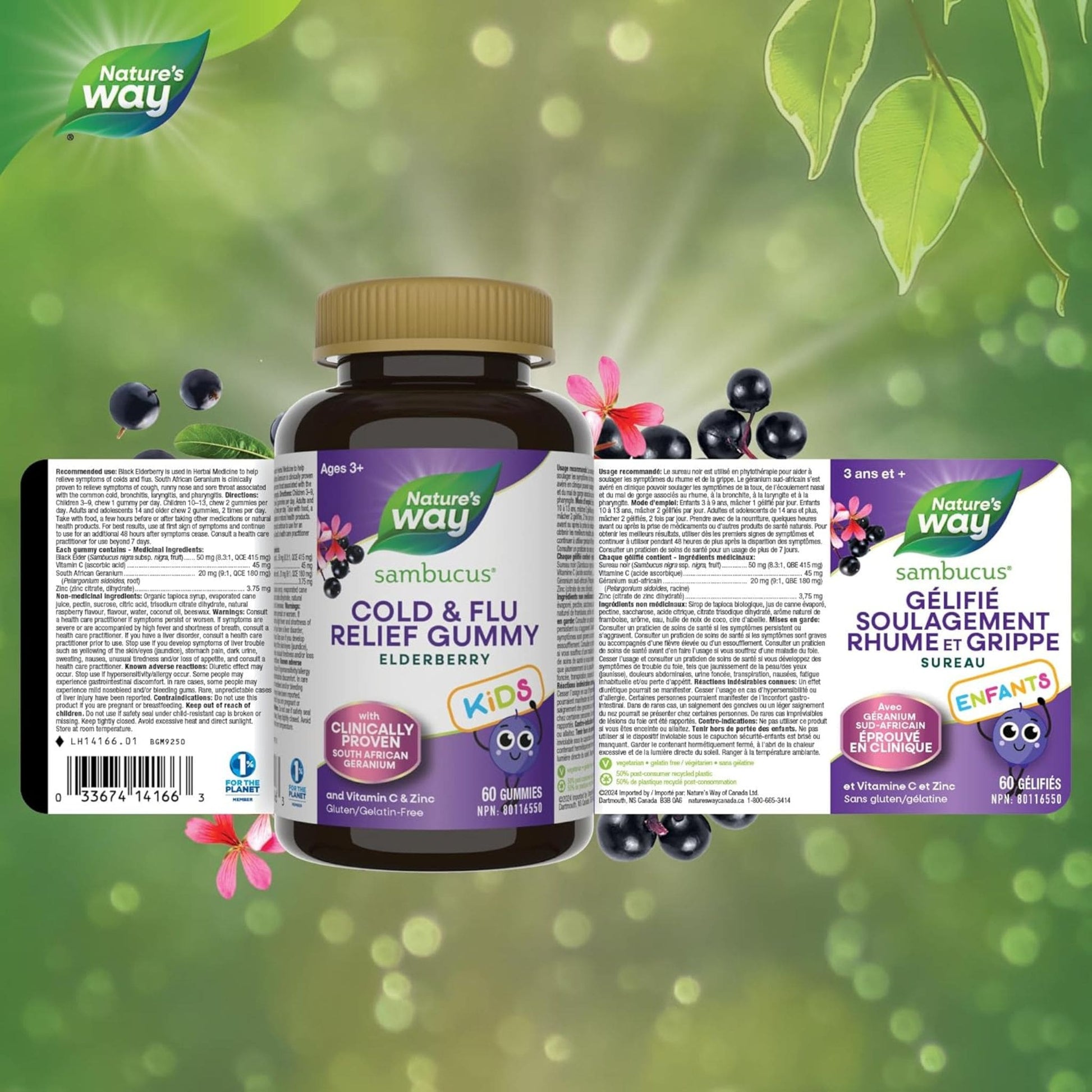 Elderberry, 60 Gummies | Nature's Way Sambucus Cold and Flu Relief Gummy for Kids