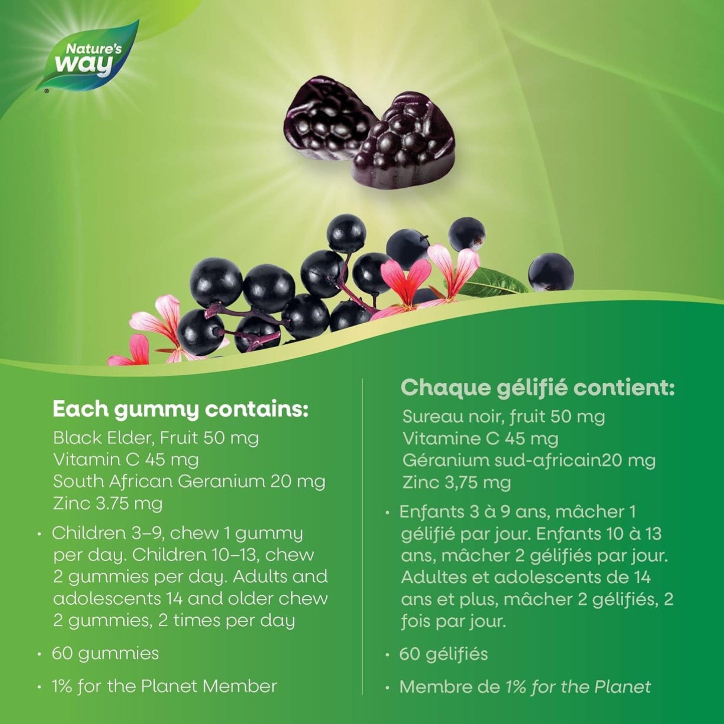 Elderberry, 60 Gummies | Nature's Way Sambucus Cold and Flu Relief Gummy for Kids