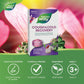Cherry Flavour, 20 Chewable Tablets | Nature's Way Cough and Cold Recovery Chewable