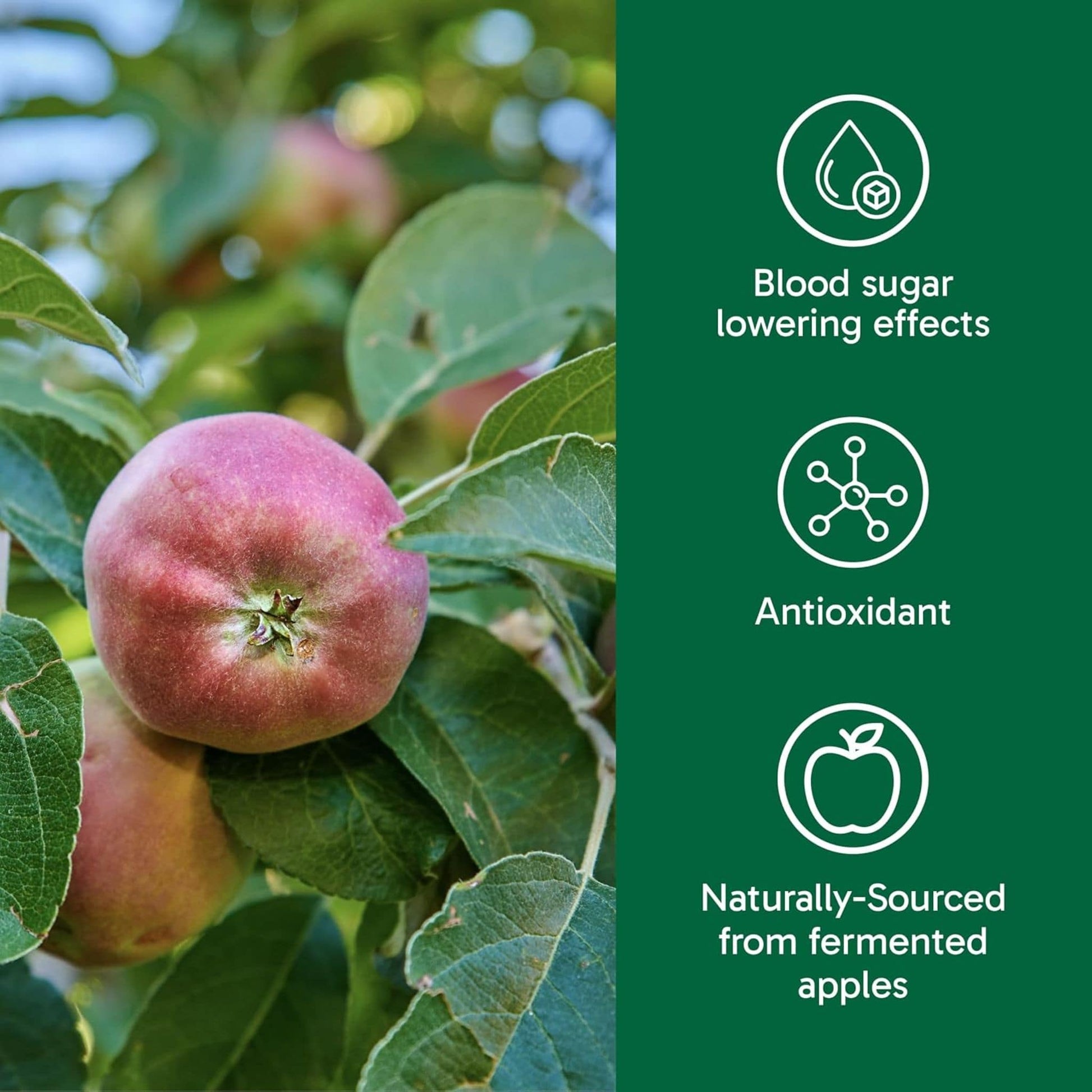 300 Capsules | Organika Cider Vin 1,590 mg