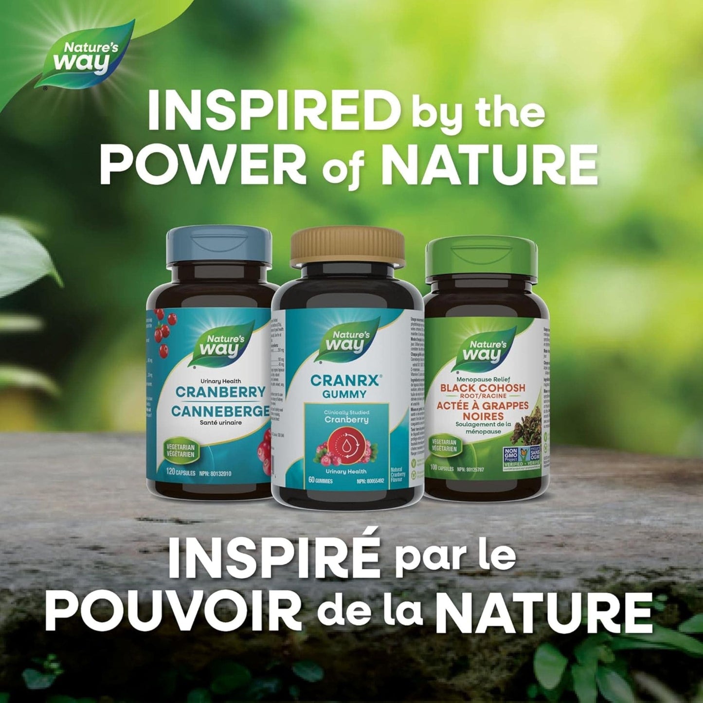 60 Gummies Cranberry | Nature's Way CranRX Gummy