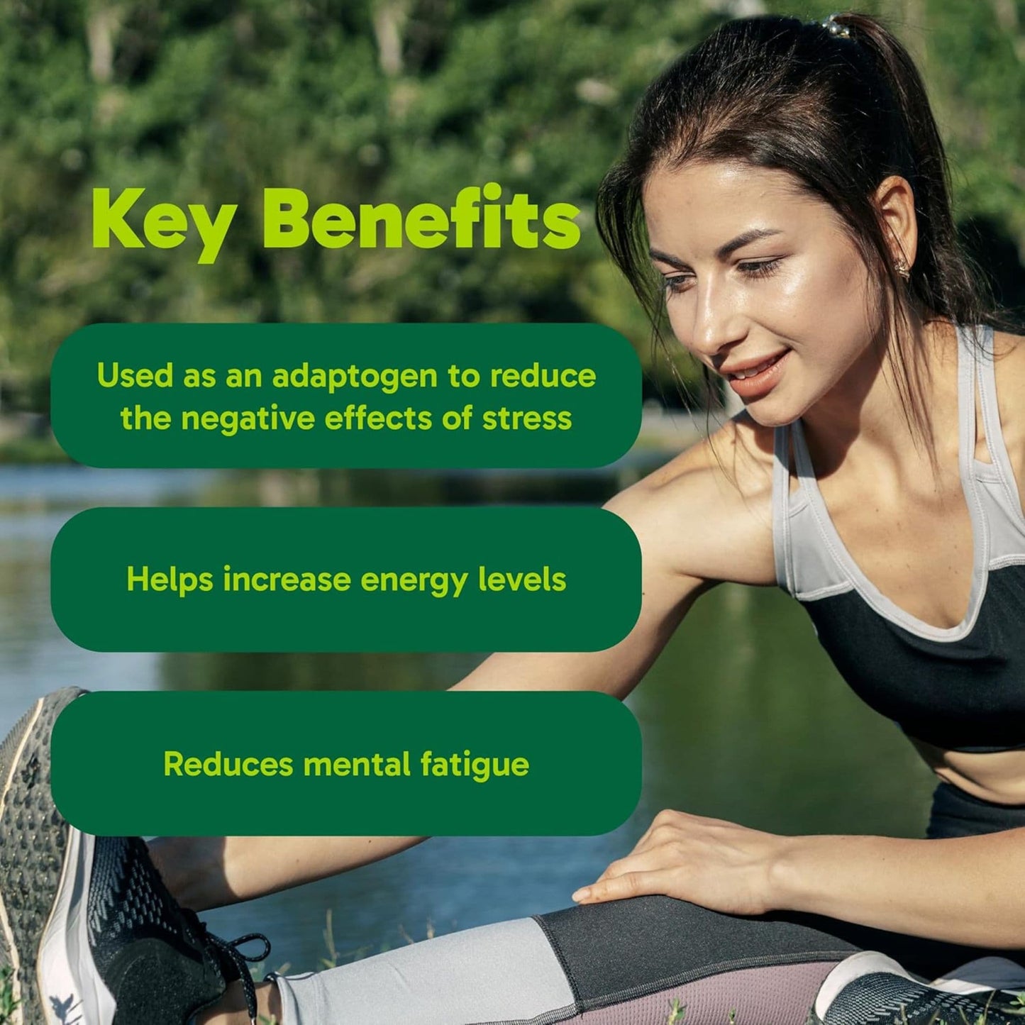 100 Capsules | Organika Korean Red Ginseng 1000 mg