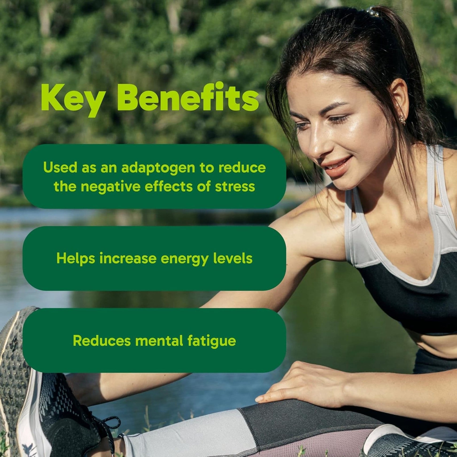 100 Capsules | Organika Korean Red Ginseng 1000 mg