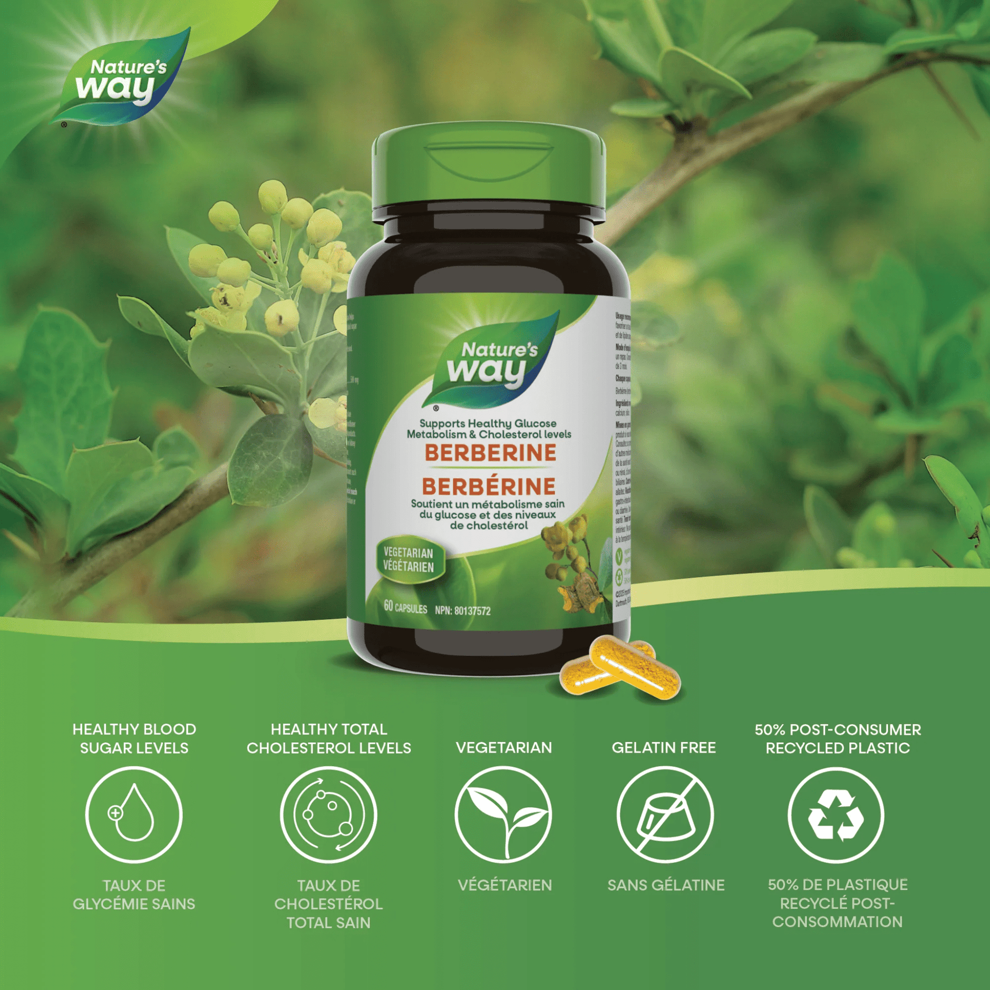 60 Vegetable Capsules | Nature's Way Berberine