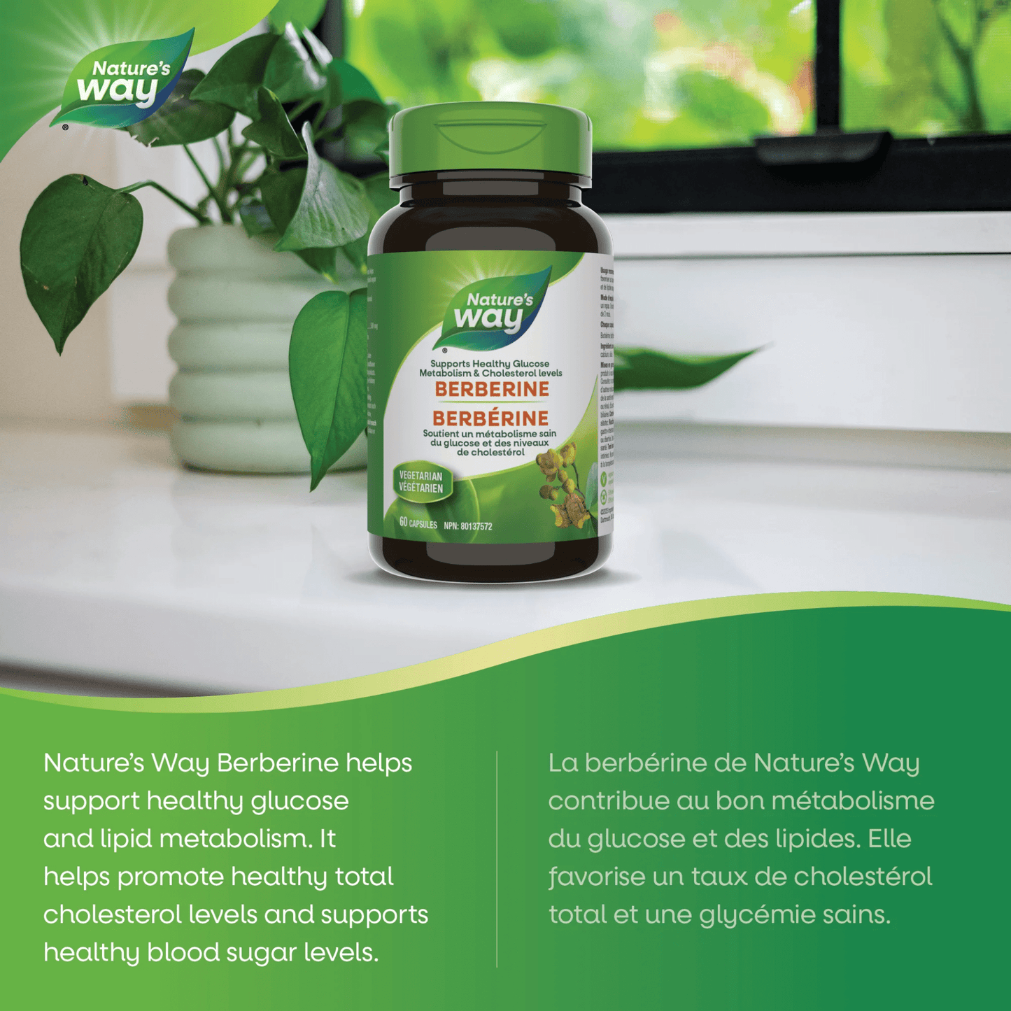 60 Vegetable Capsules | Nature's Way Berberine